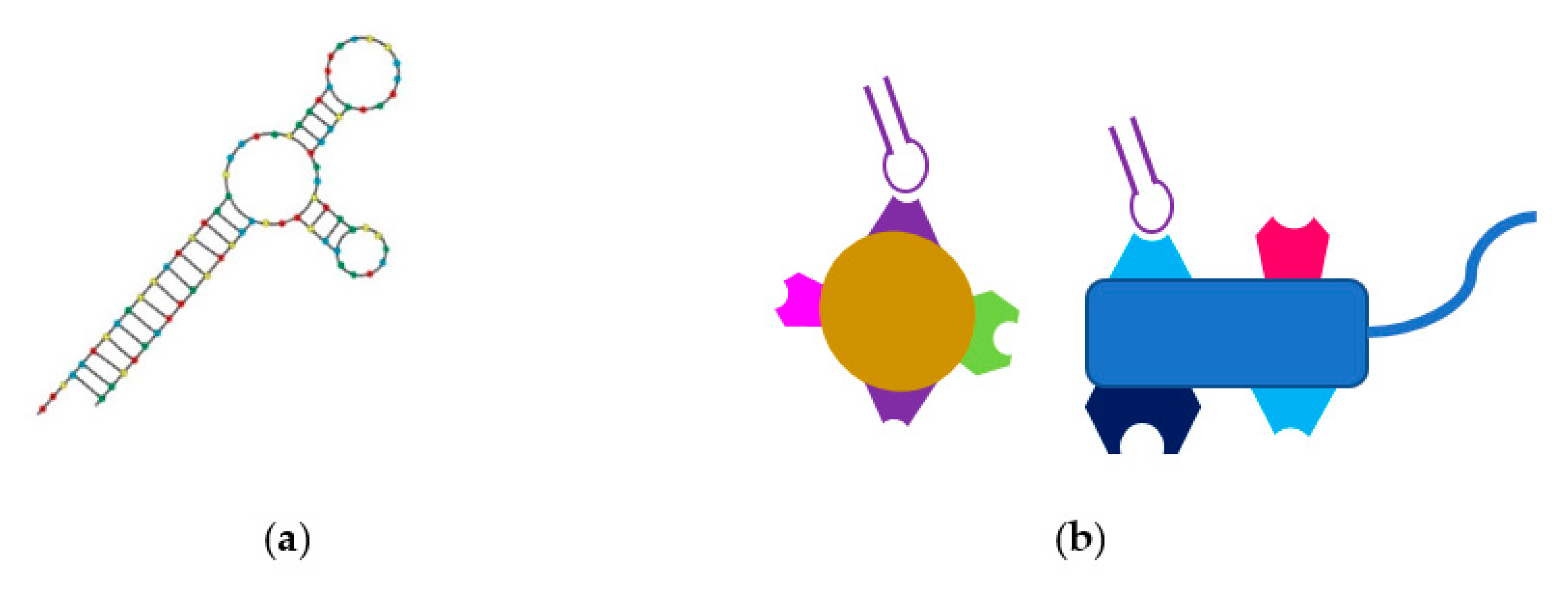 Ijms 22 00149 g002 Ijms 22 00149 g002