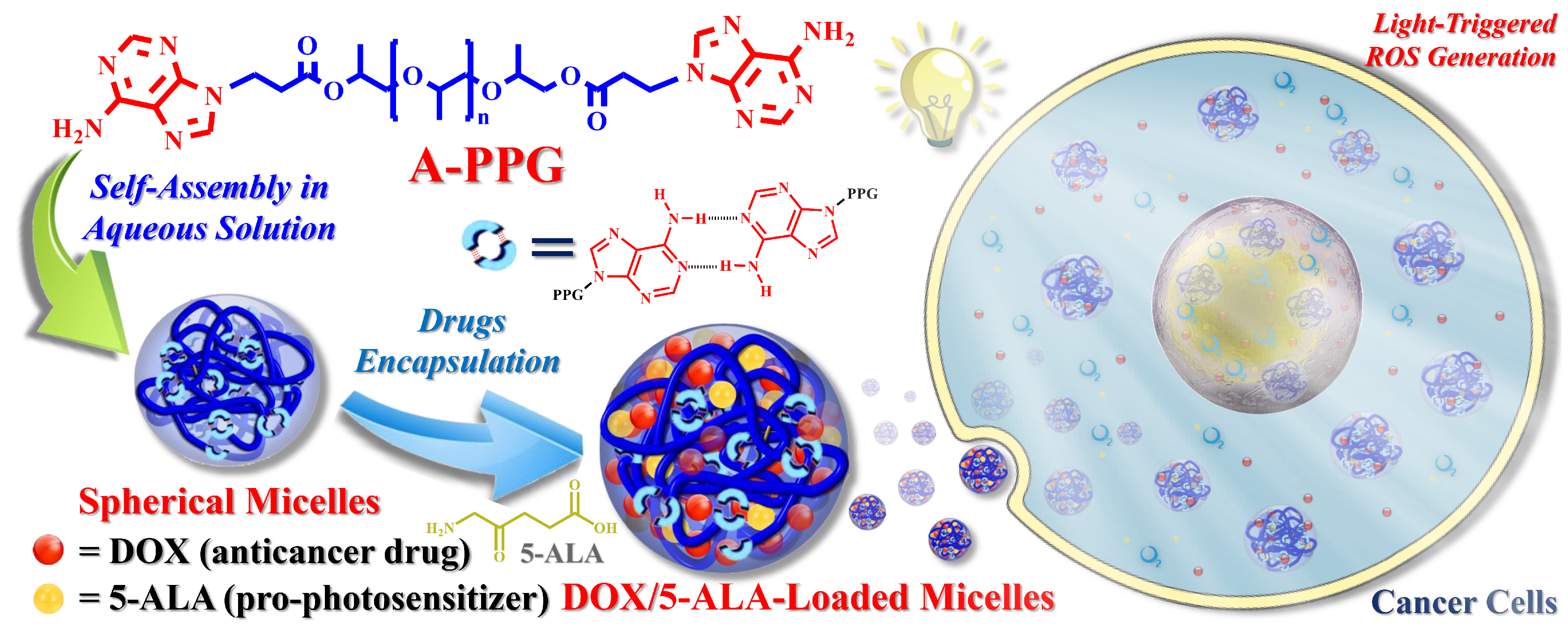 Ijms 22 00154 sch001 Ijms 22 00154 sch001