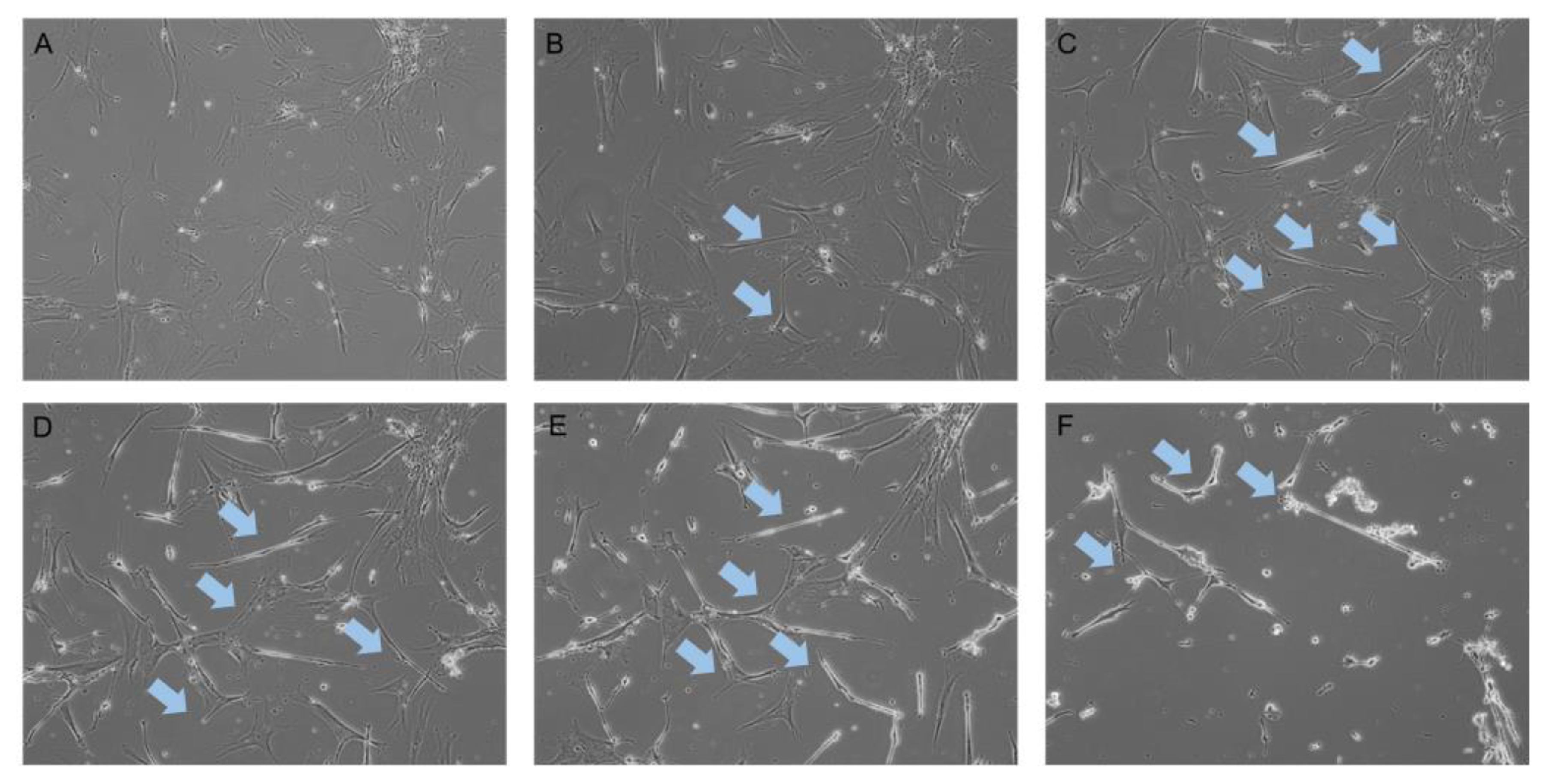 Ijms 22 00160 g001 Ijms 22 00160 g001