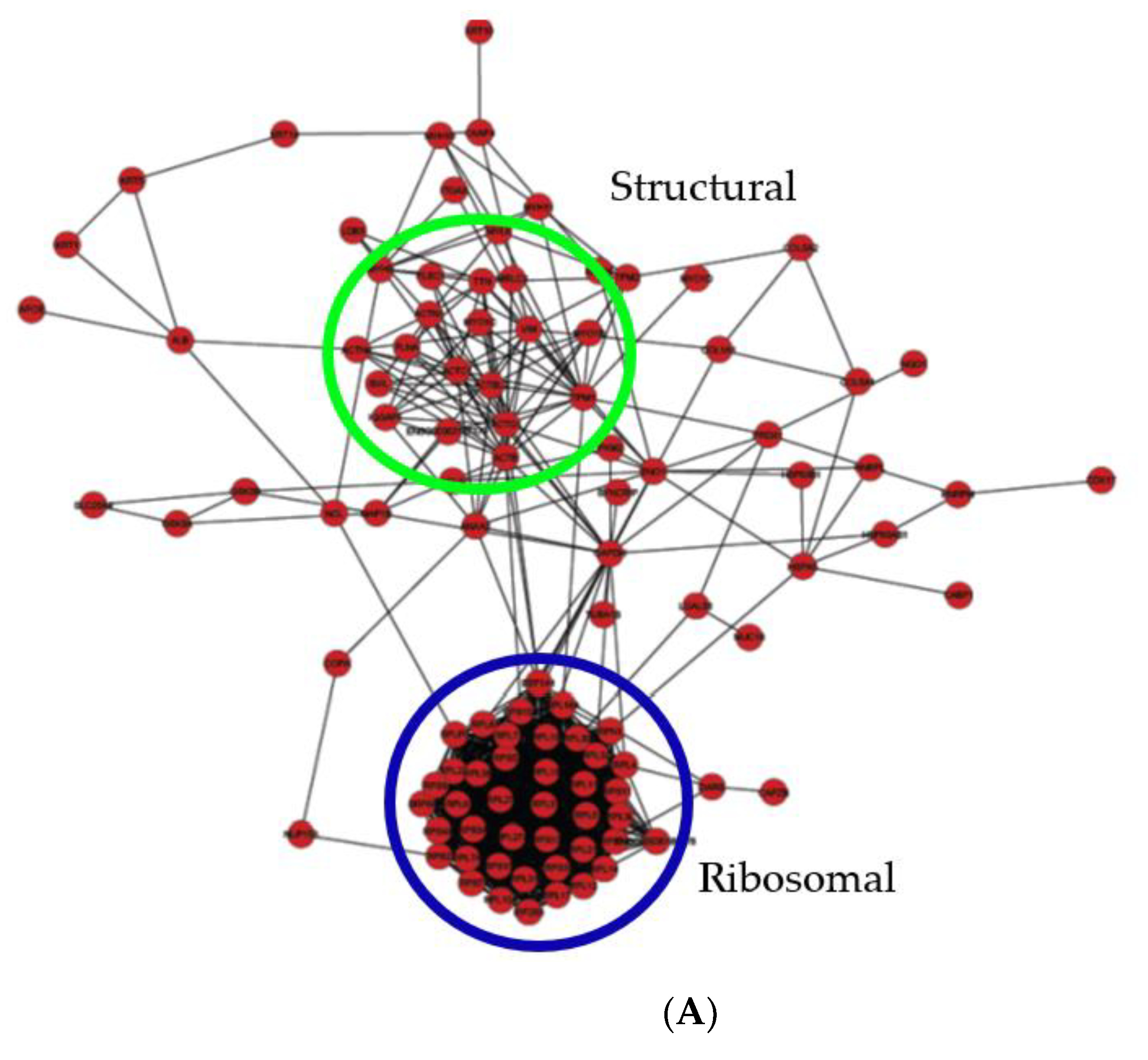Ijms 22 00160 g006a Ijms 22 00160 g006a
