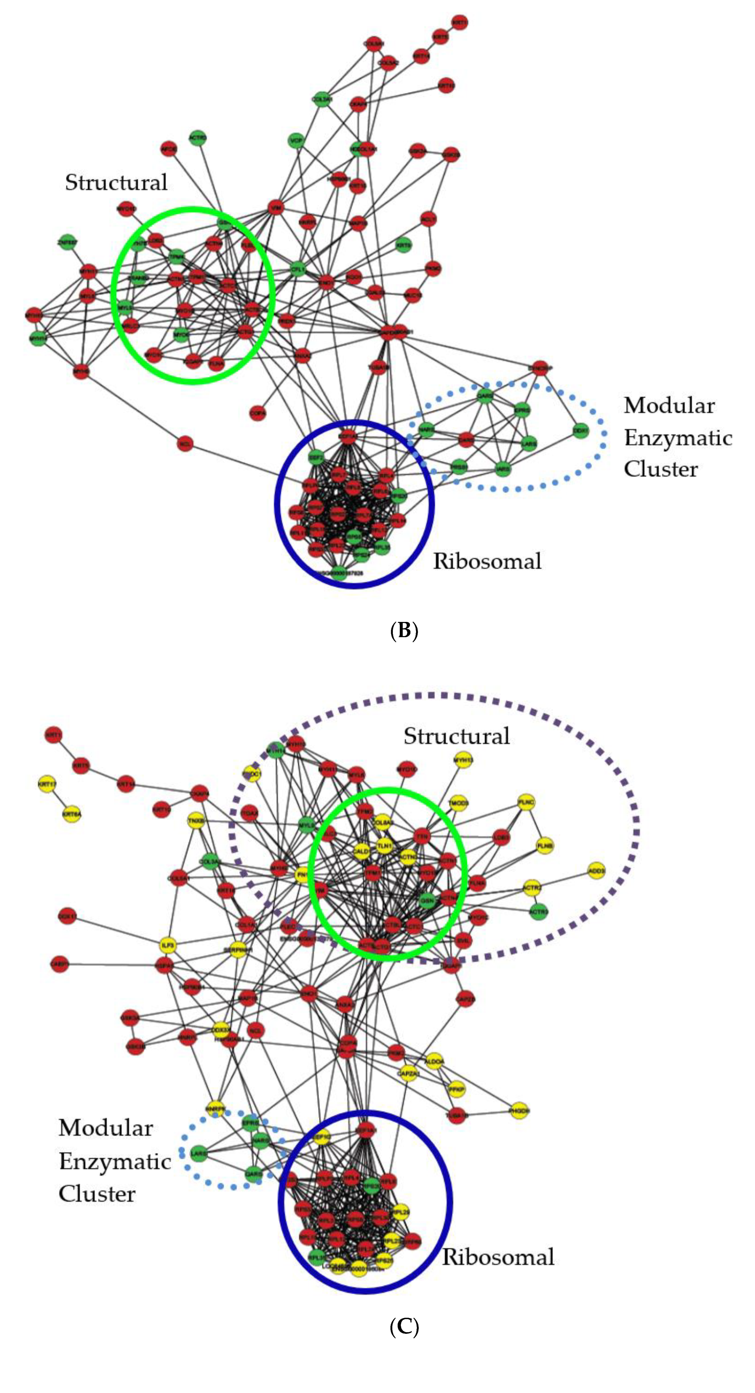 Ijms 22 00160 g006b Ijms 22 00160 g006b