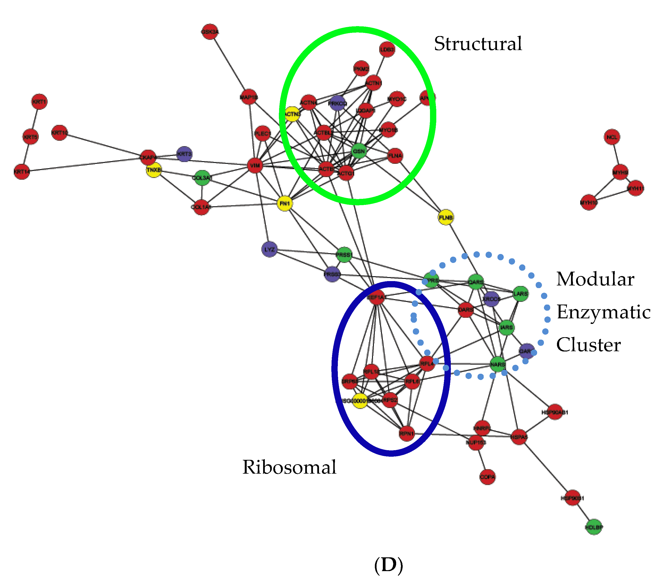 Ijms 22 00160 g006c Ijms 22 00160 g006c