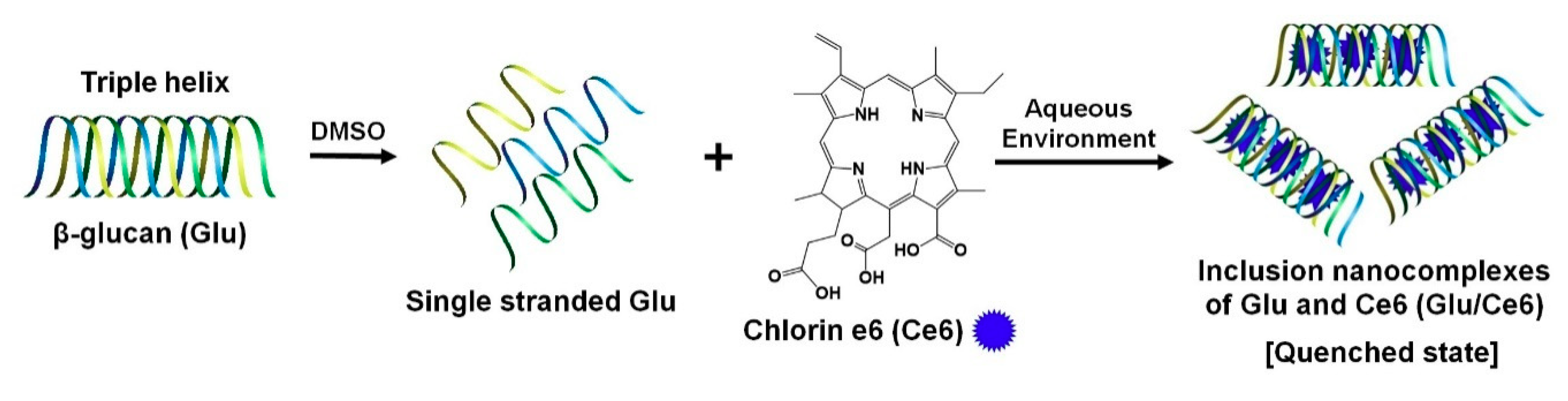 Ijms 22 00177 g001 Ijms 22 00177 g001