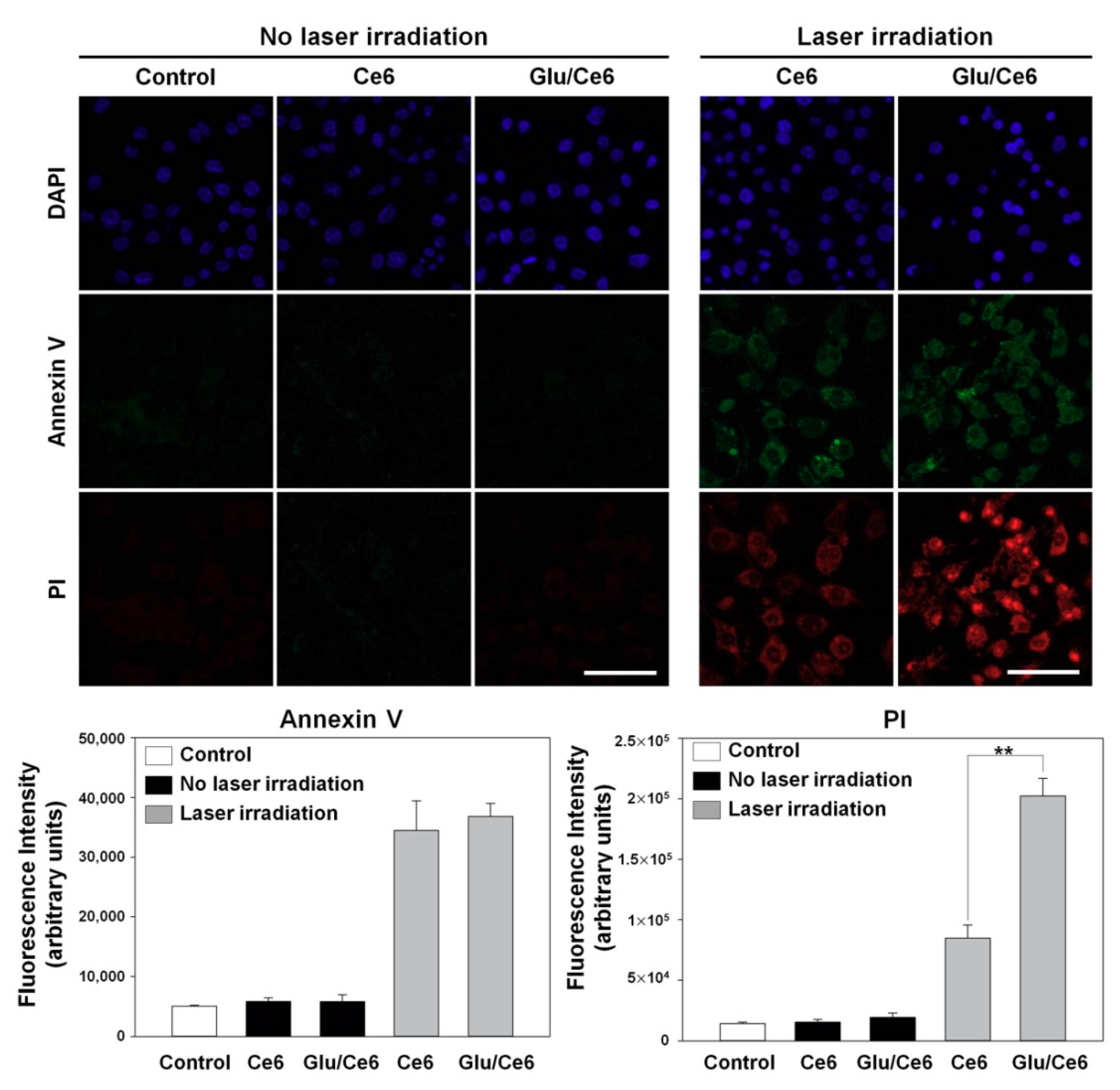 Ijms 22 00177 g007 Ijms 22 00177 g007
