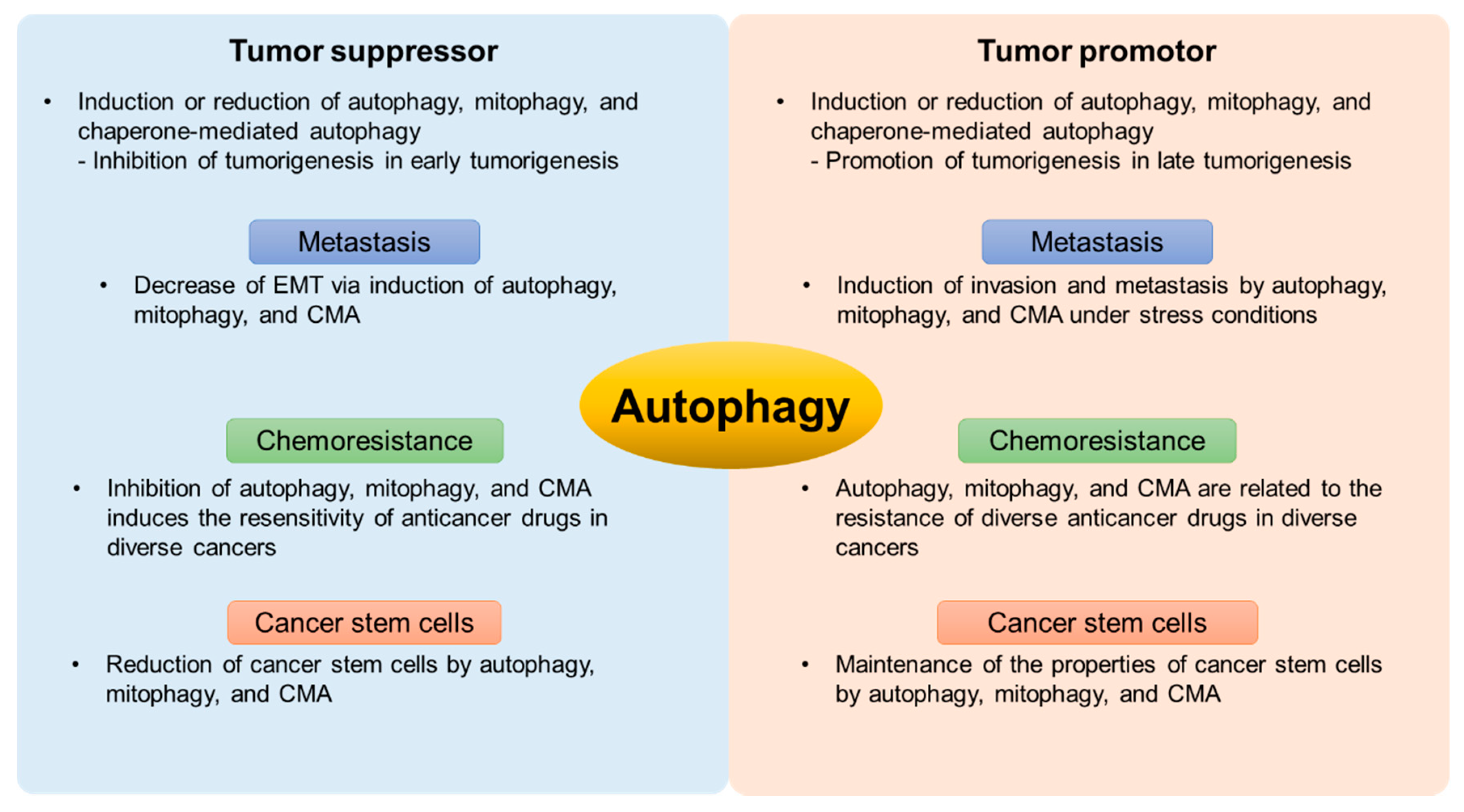Ijms 22 00179 g002 Ijms 22 00179 g002