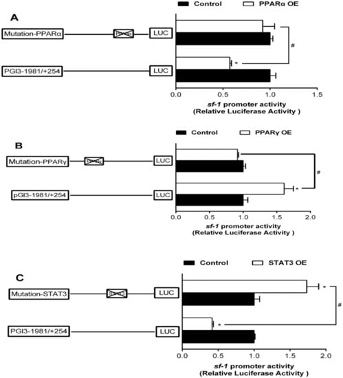 Ijms Free Full Text Functional Analysis Of Steroidogenic Factor 1 Sf 1 And 17a Hydroxylase Lyase Cyp17a Promoters In Yellow Catfish Pelteobagrus Fulvidraco Html