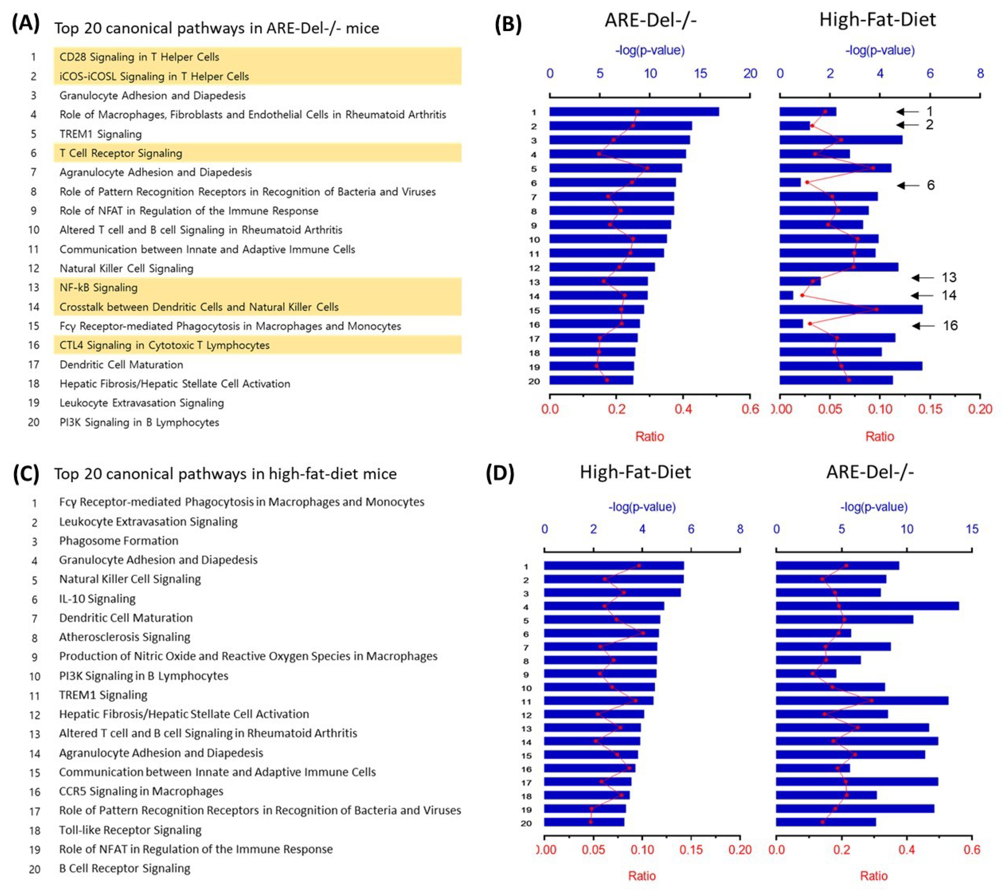 Ijms 22 00208 g001 Ijms 22 00208 g001