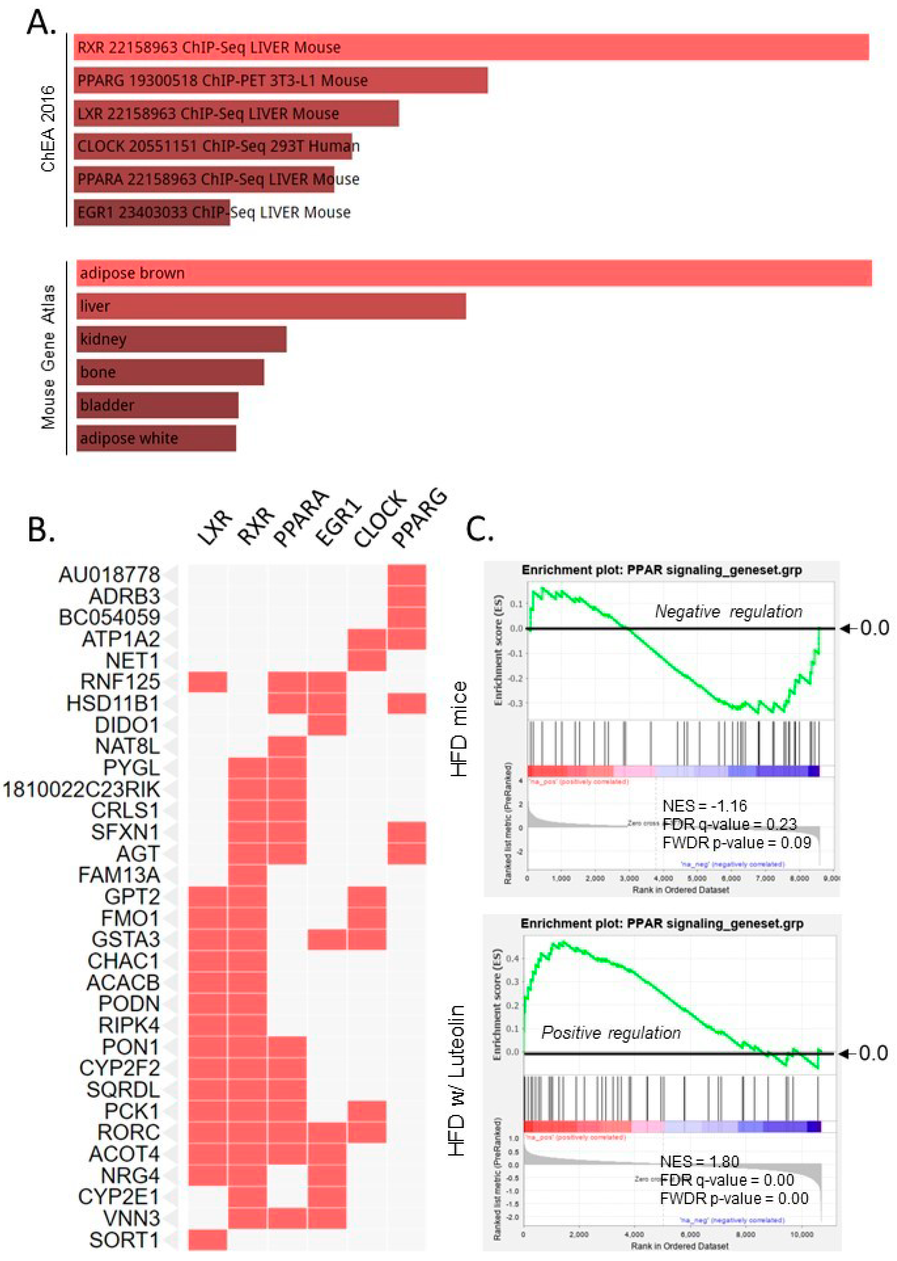 Ijms 22 00208 g004 Ijms 22 00208 g004