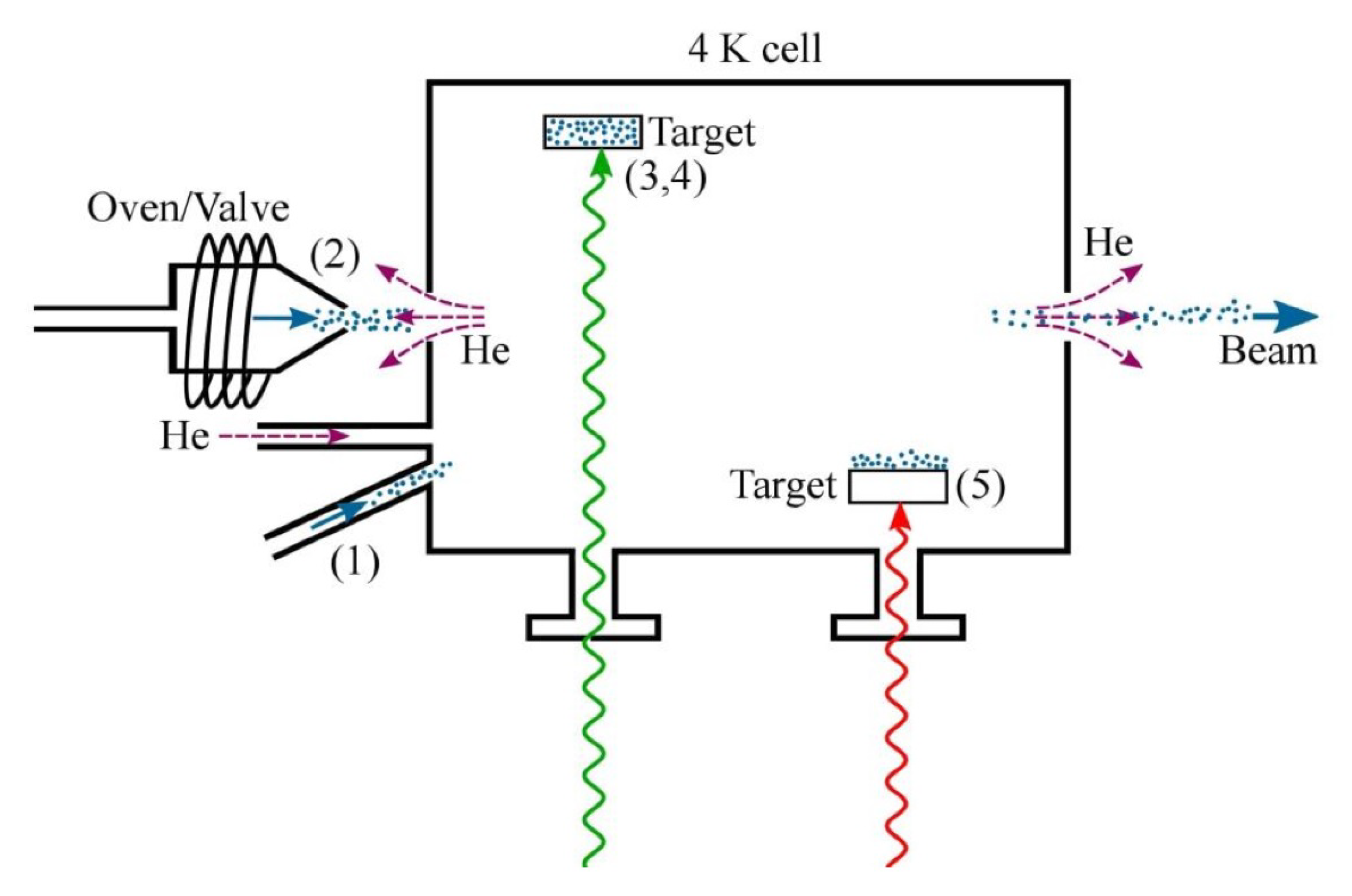 Ijms 22 00250 g003 Ijms 22 00250 g003