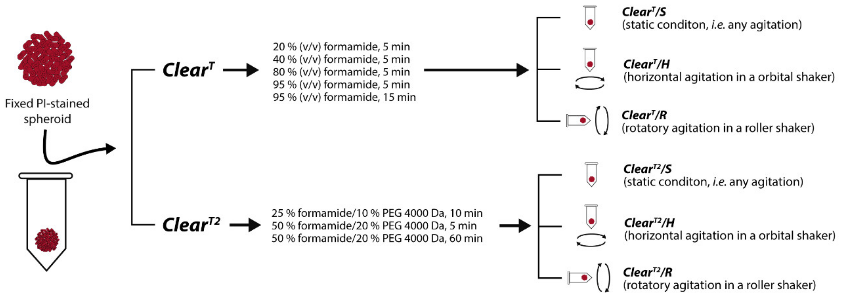 Ijms 22 00266 g001 Ijms 22 00266 g001