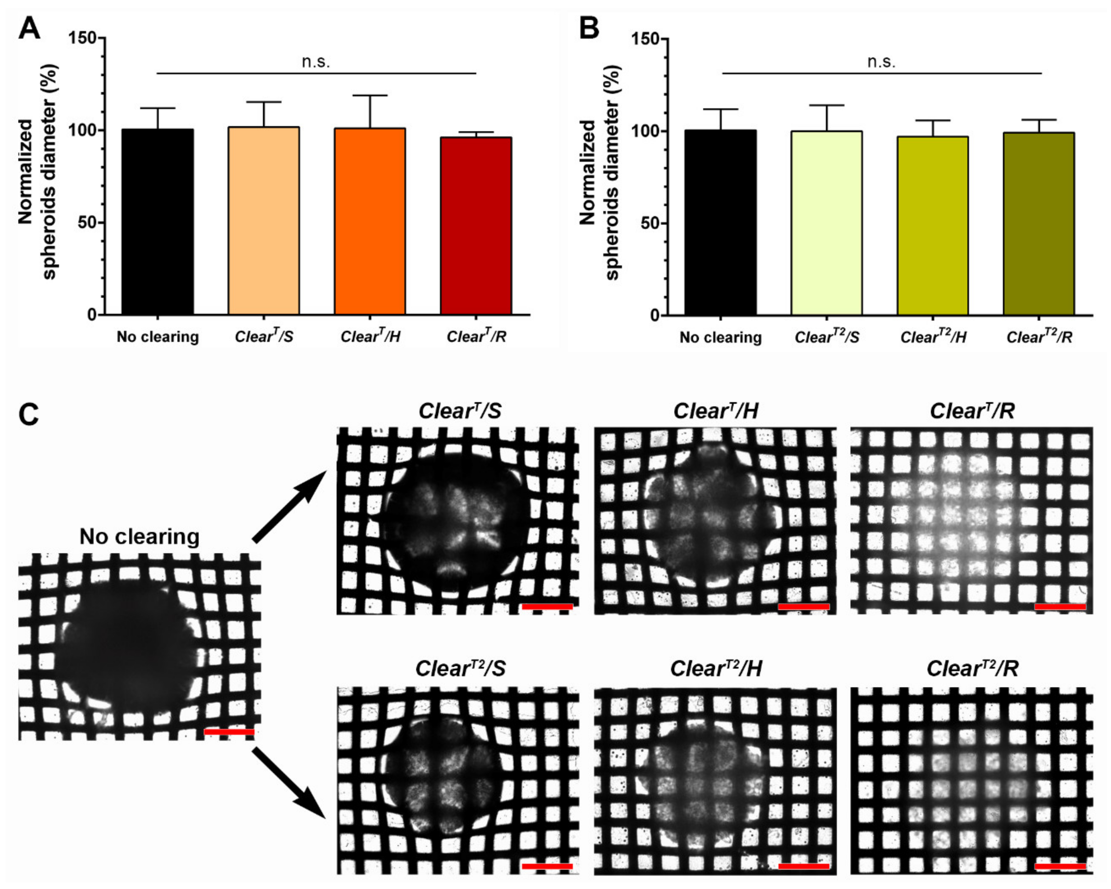 Ijms 22 00266 g002 Ijms 22 00266 g002