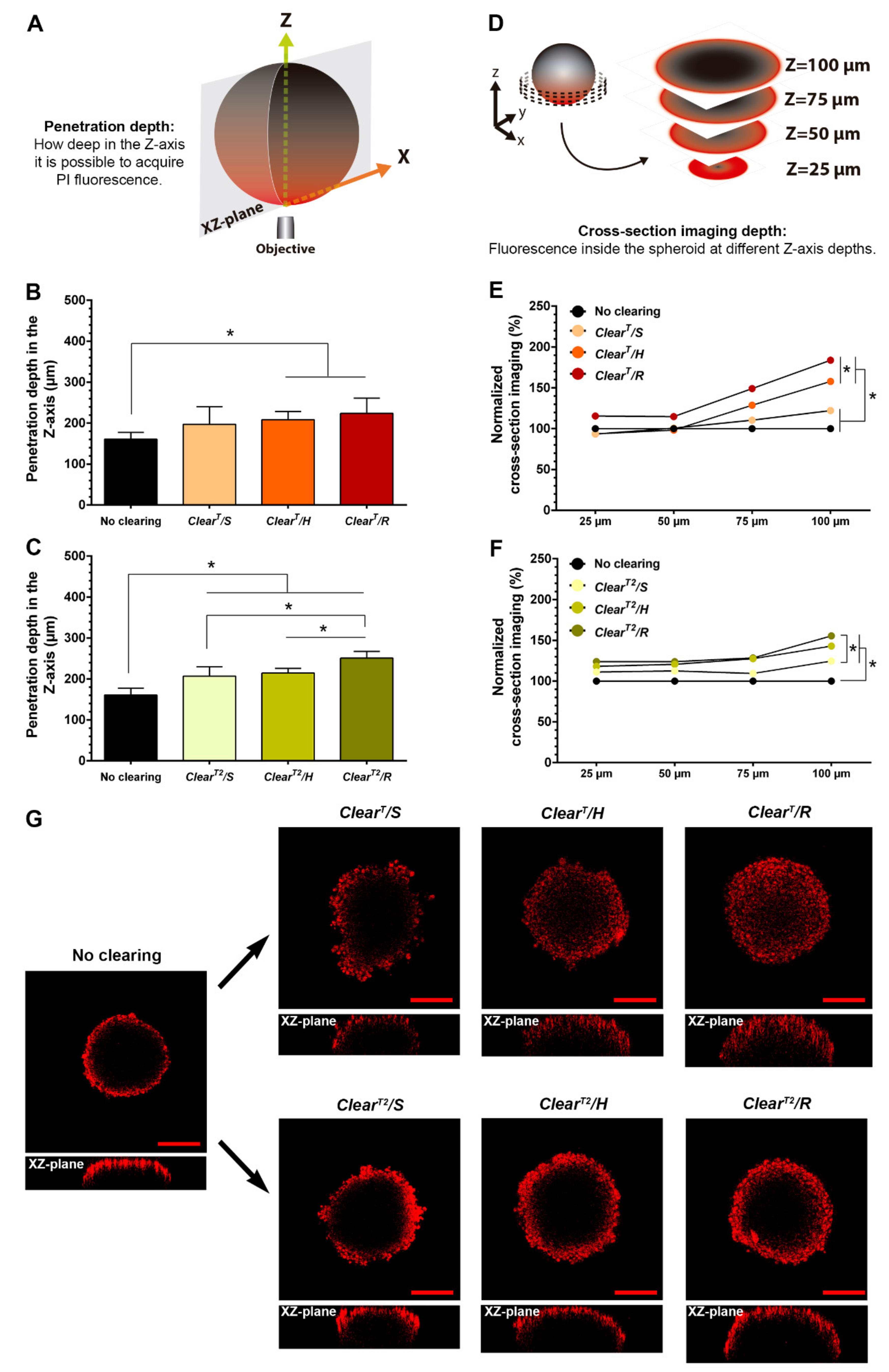 Ijms 22 00266 g004 Ijms 22 00266 g004