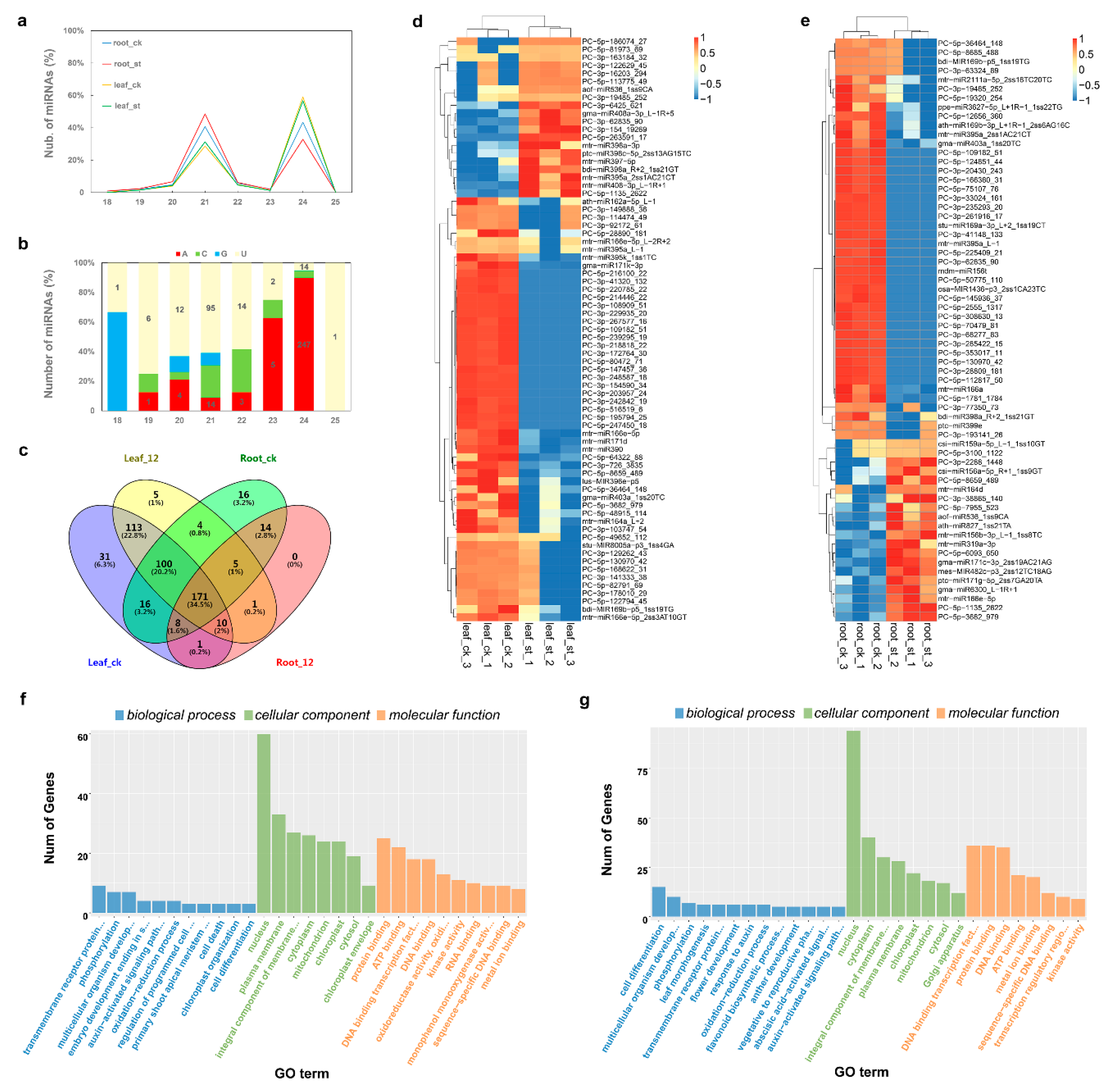 Ijms 22 00289 g004 Ijms 22 00289 g004