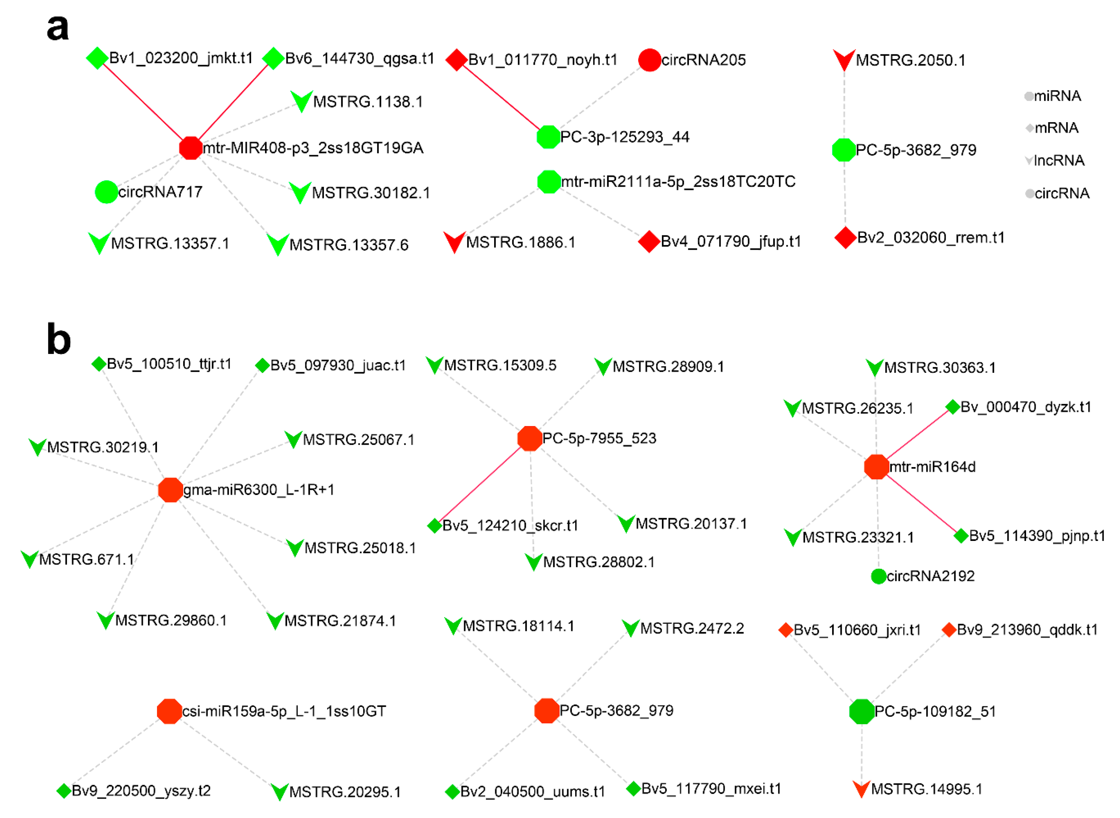 Ijms 22 00289 g005 Ijms 22 00289 g005