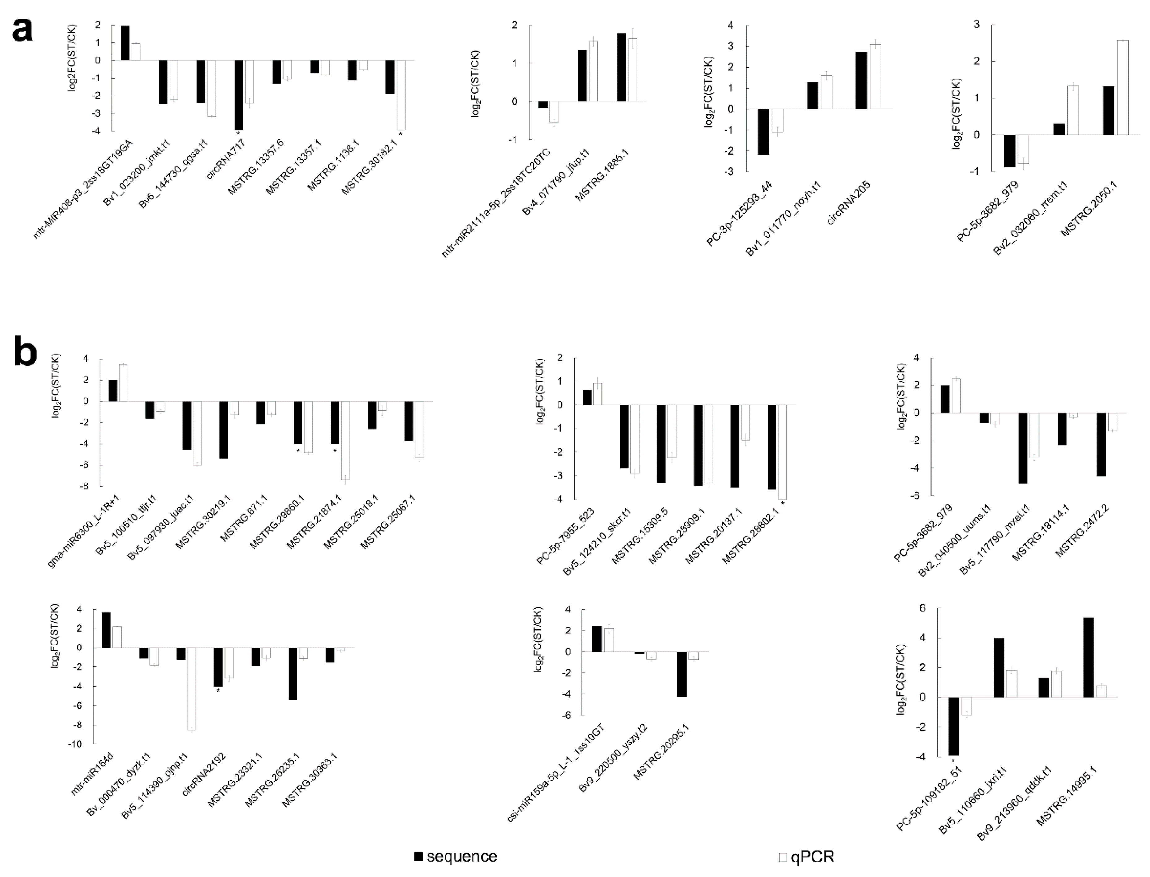 Ijms 22 00289 g007 Ijms 22 00289 g007