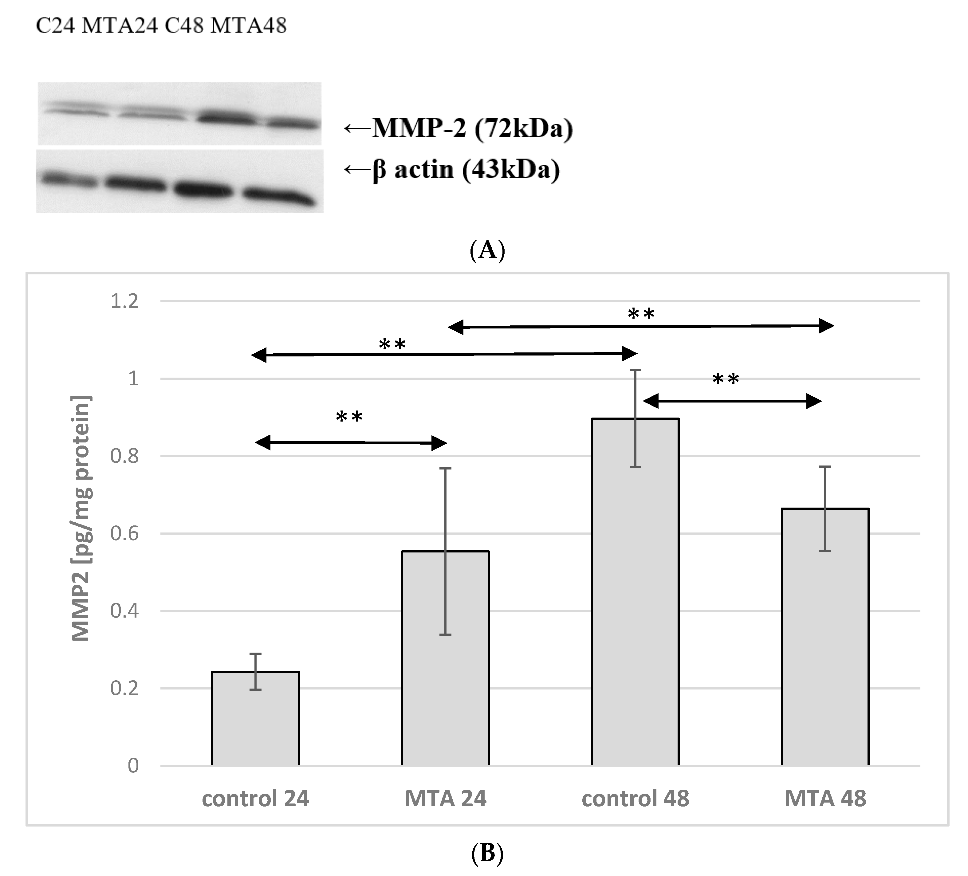 Ijms 22 00295 g002 Ijms 22 00295 g002