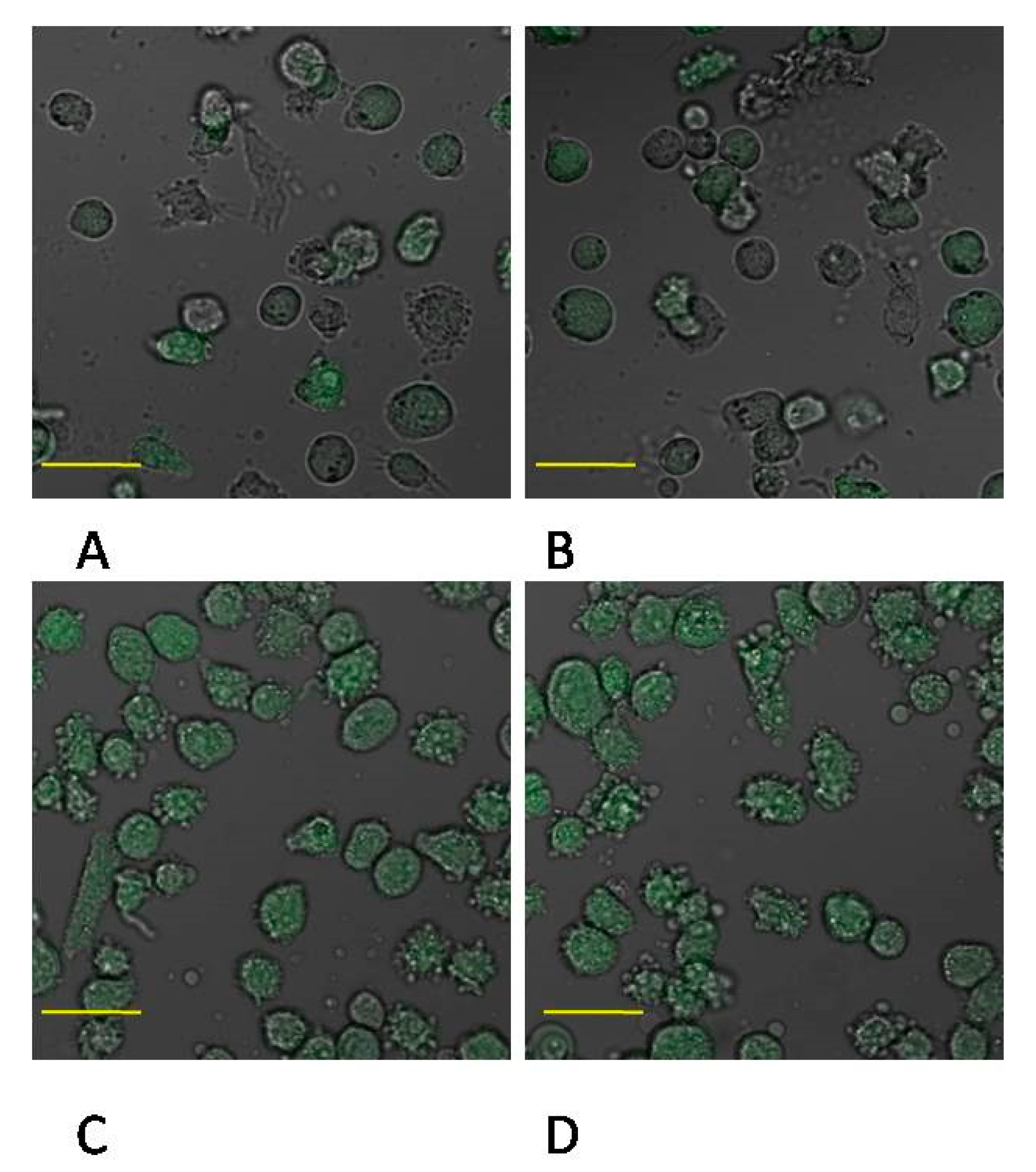 Ijms 22 00295 g003 Ijms 22 00295 g003