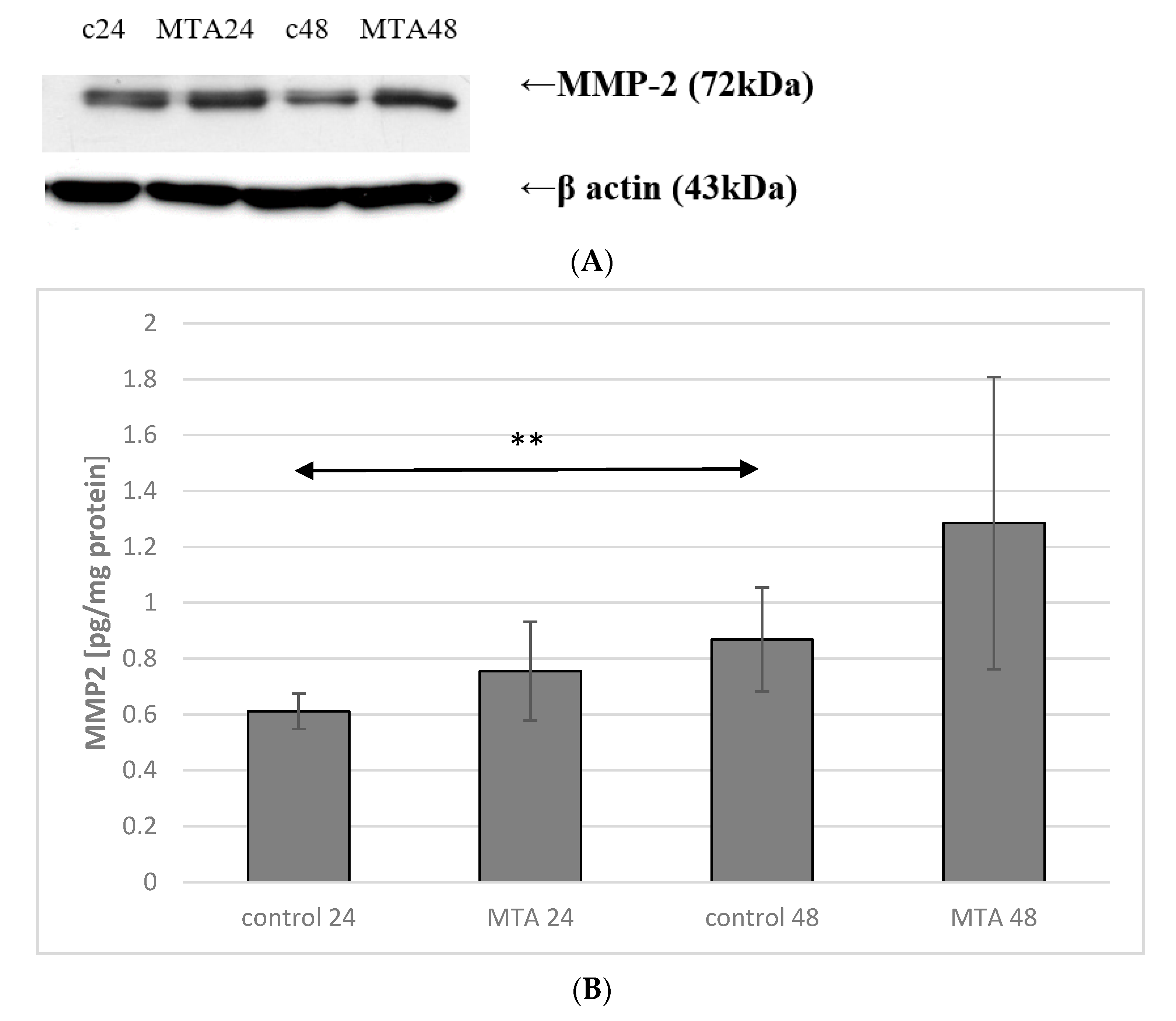 Ijms 22 00295 g004 Ijms 22 00295 g004