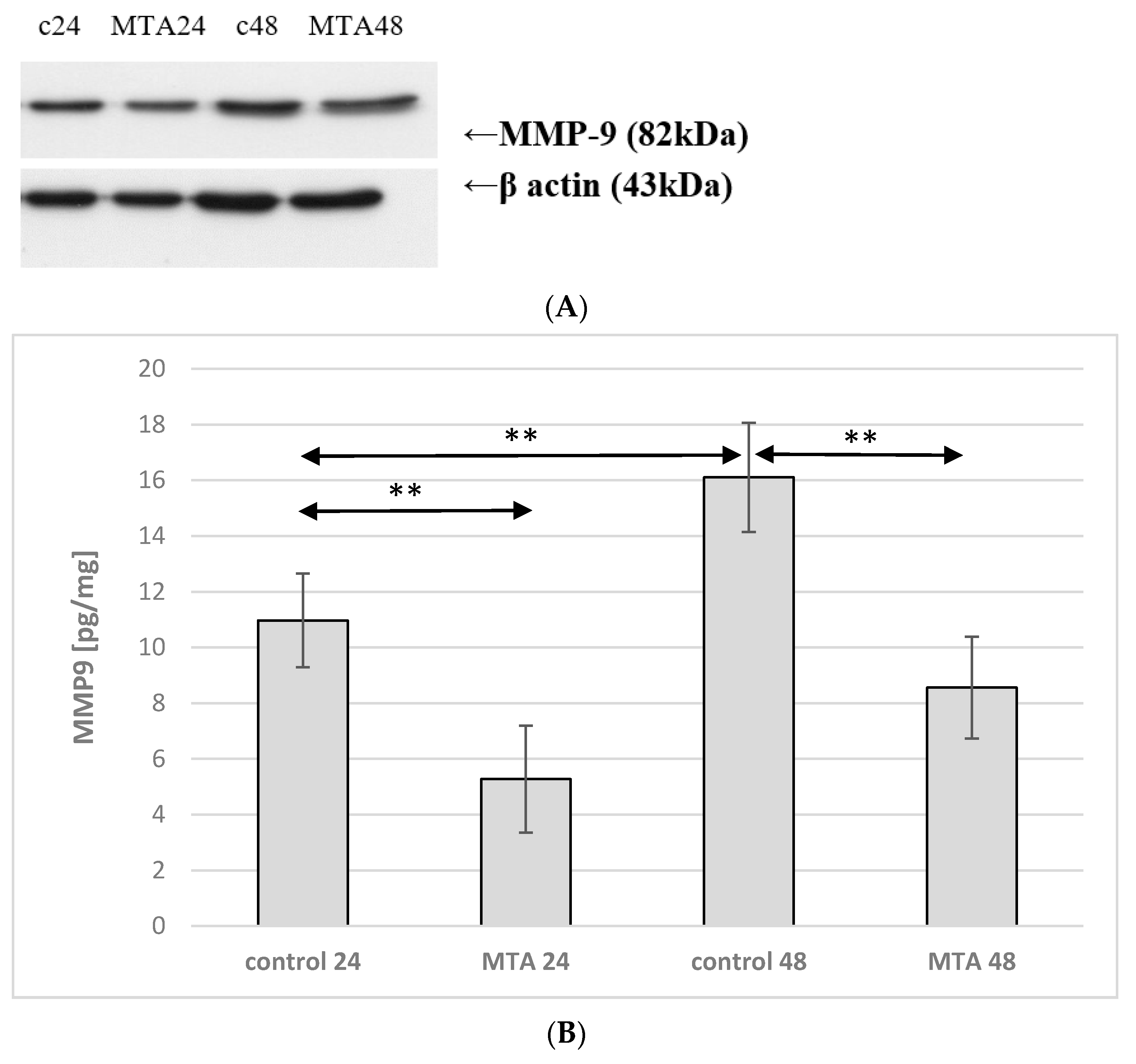 Ijms 22 00295 g006 Ijms 22 00295 g006