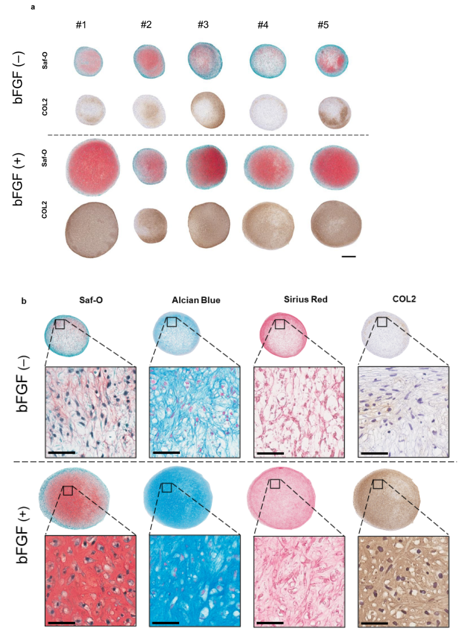 Ijms 22 00300 g004 Ijms 22 00300 g004