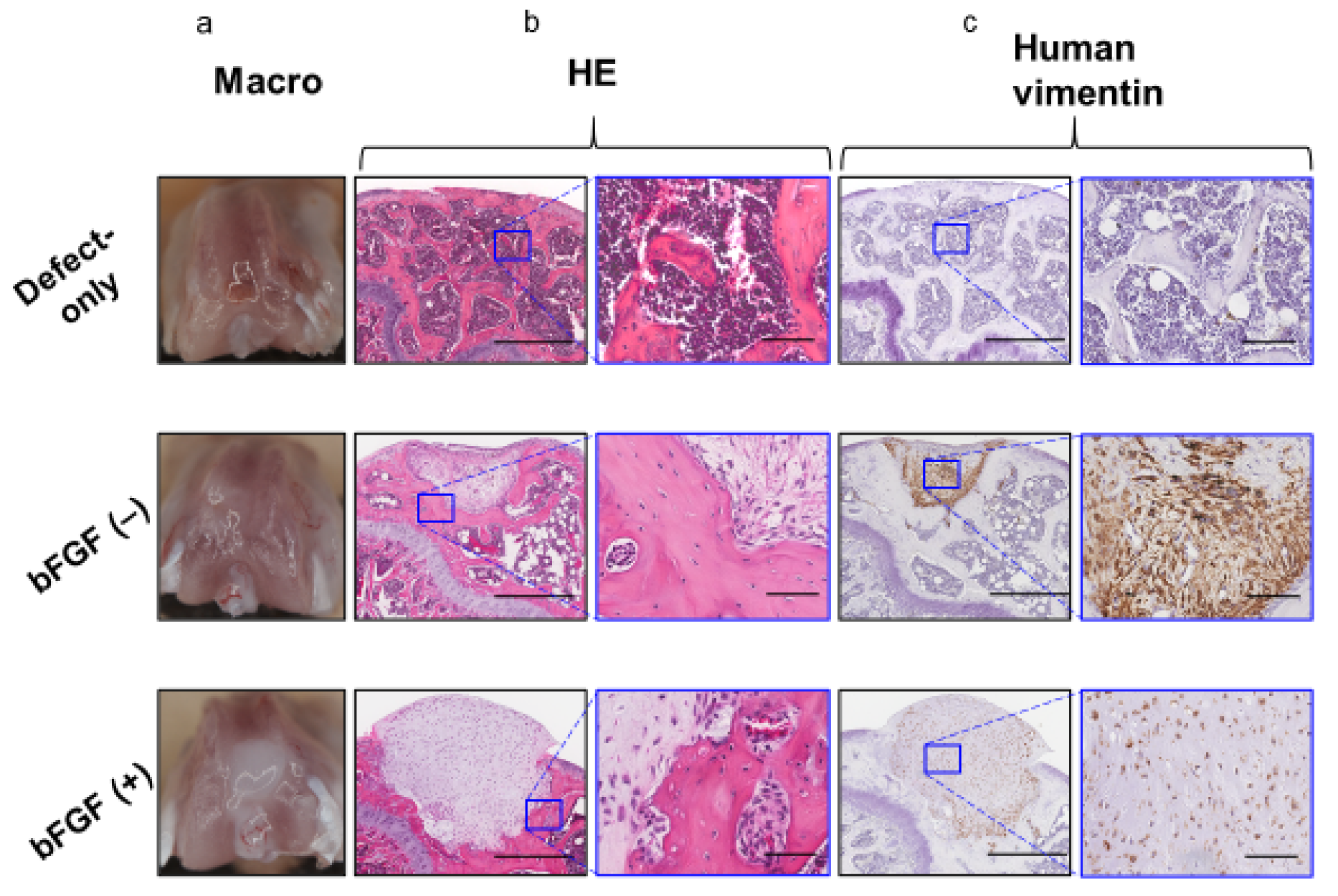 Ijms 22 00300 g006 Ijms 22 00300 g006
