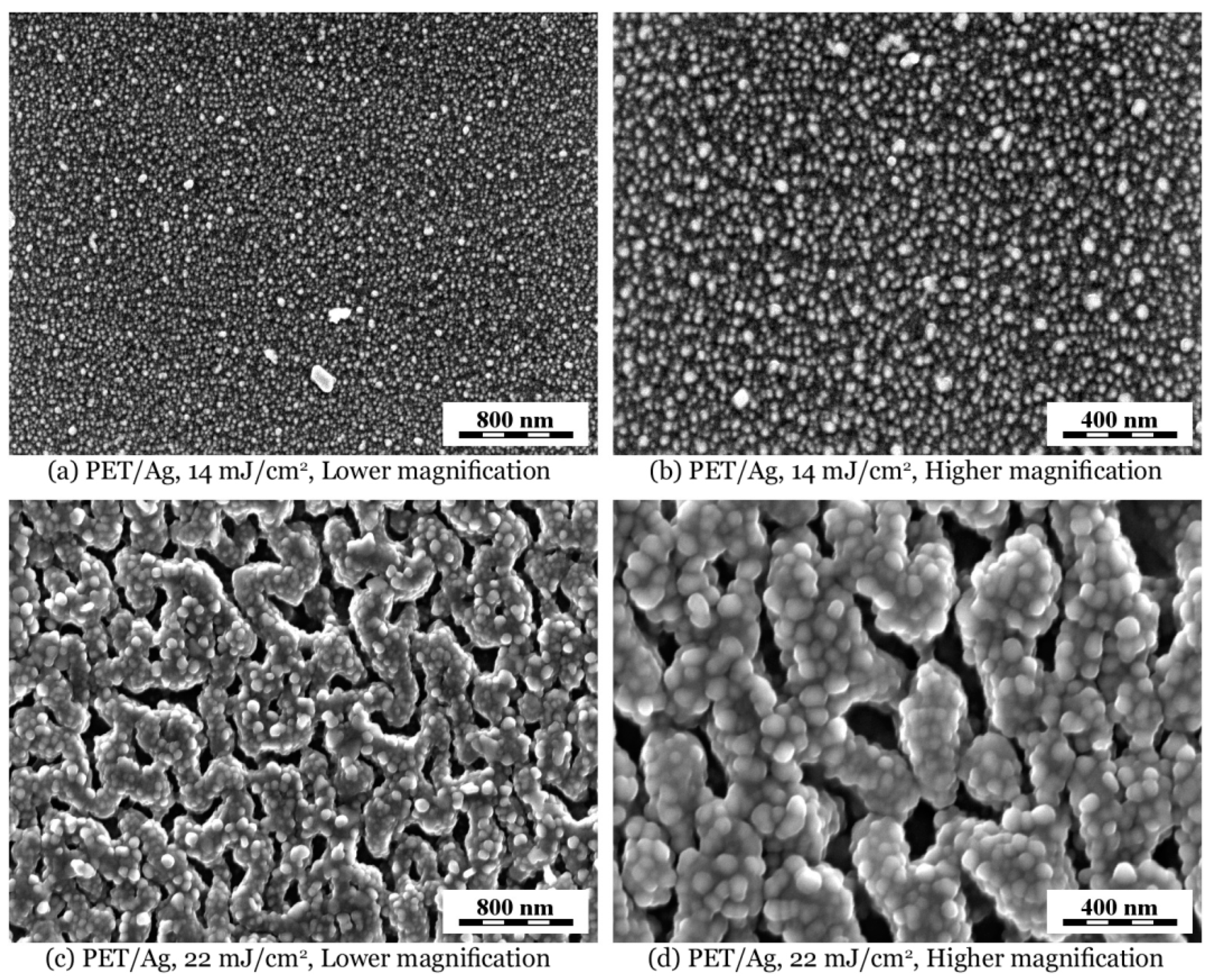 Ijms 22 00312 g005 Ijms 22 00312 g005