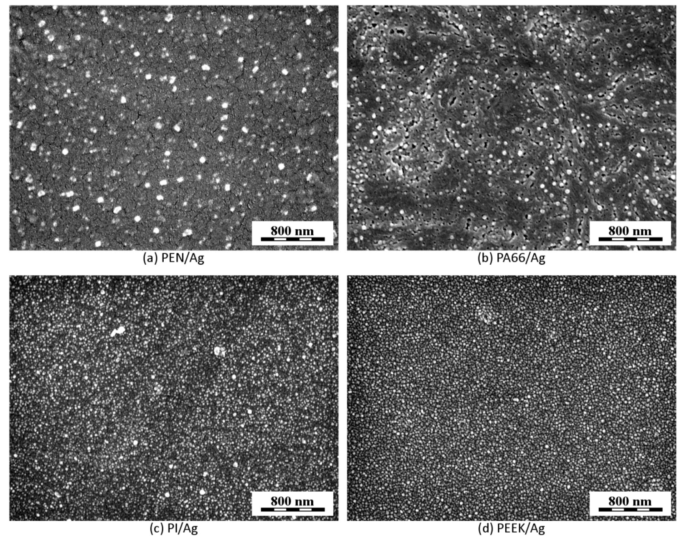 Ijms 22 00312 g009 Ijms 22 00312 g009