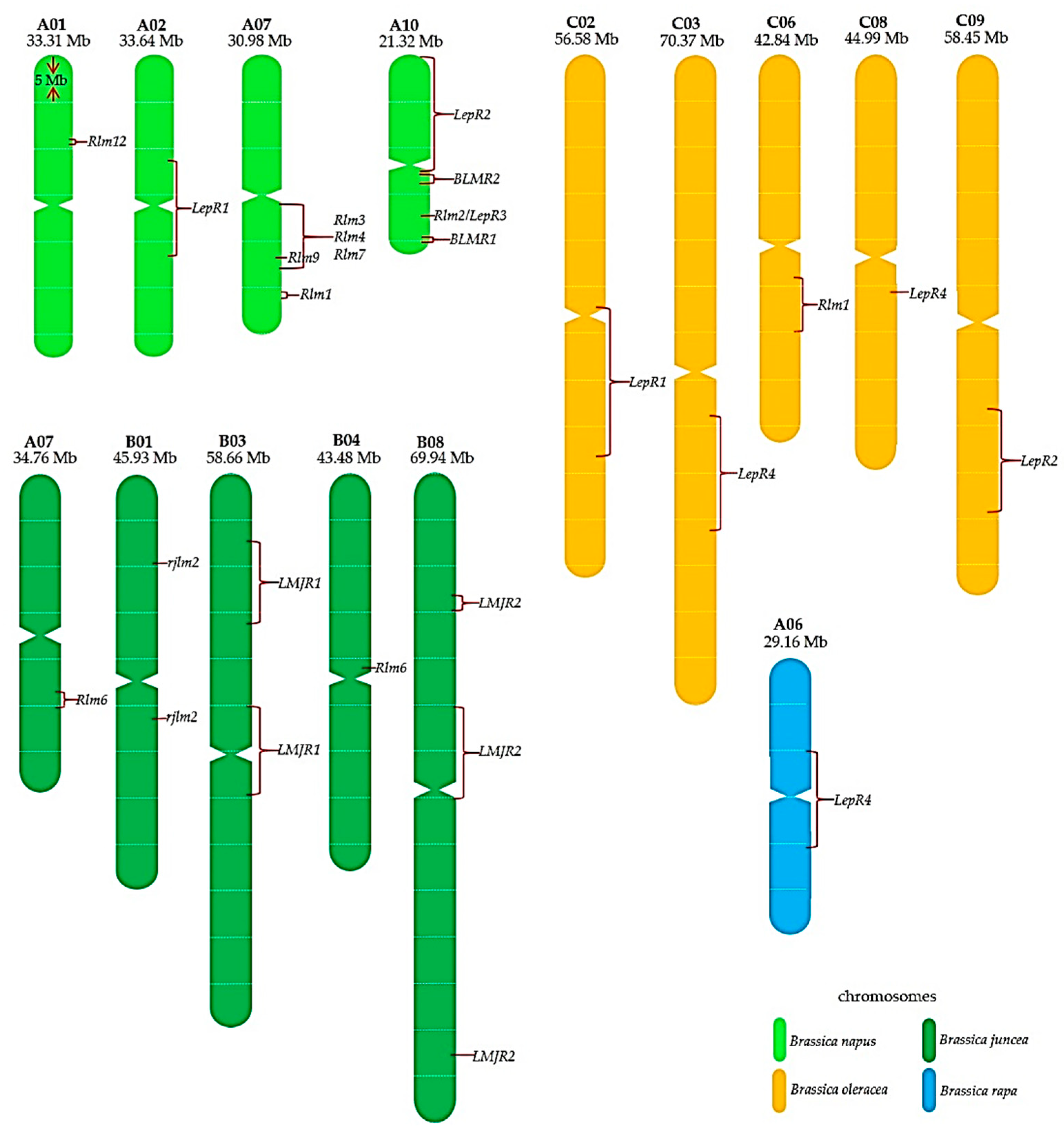 Ijms 22 00313 g002 Ijms 22 00313 g002