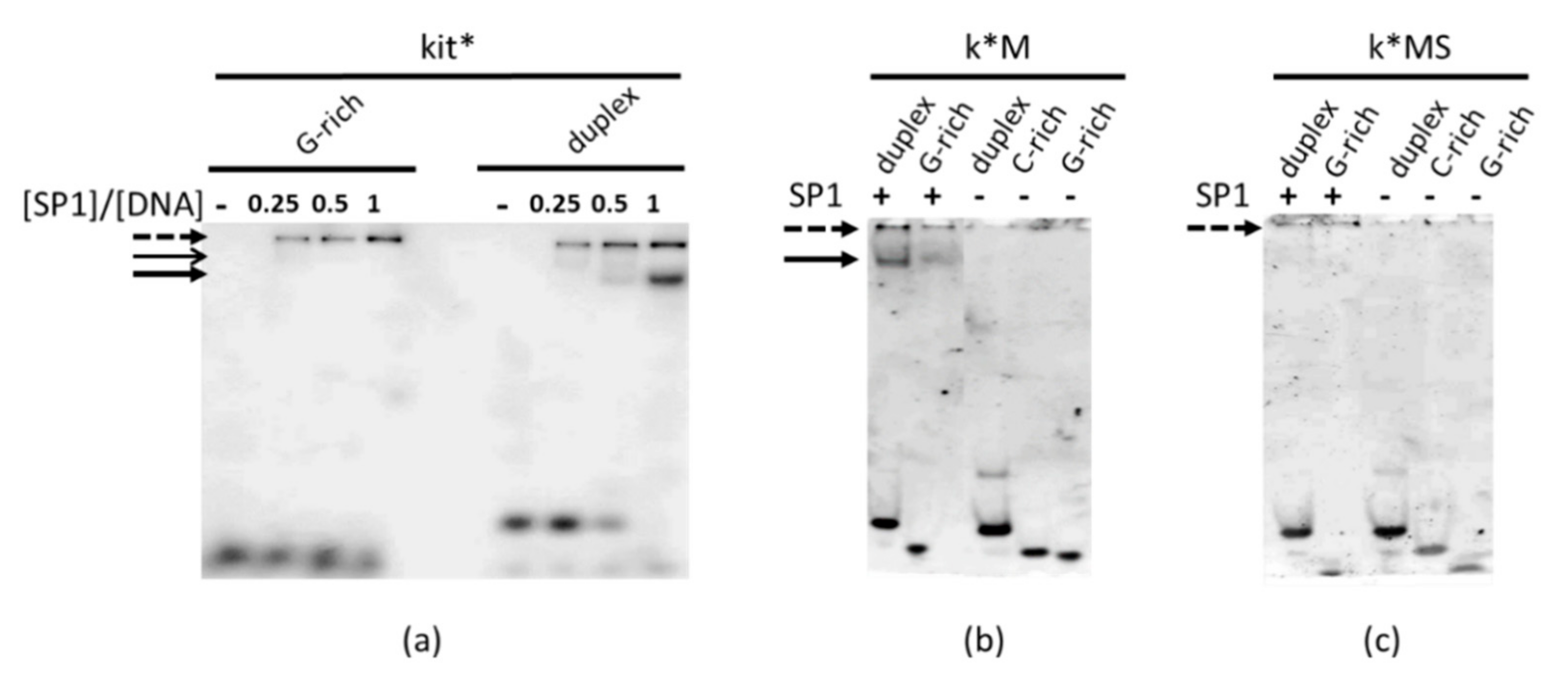 Ijms 22 00329 g003 Ijms 22 00329 g003