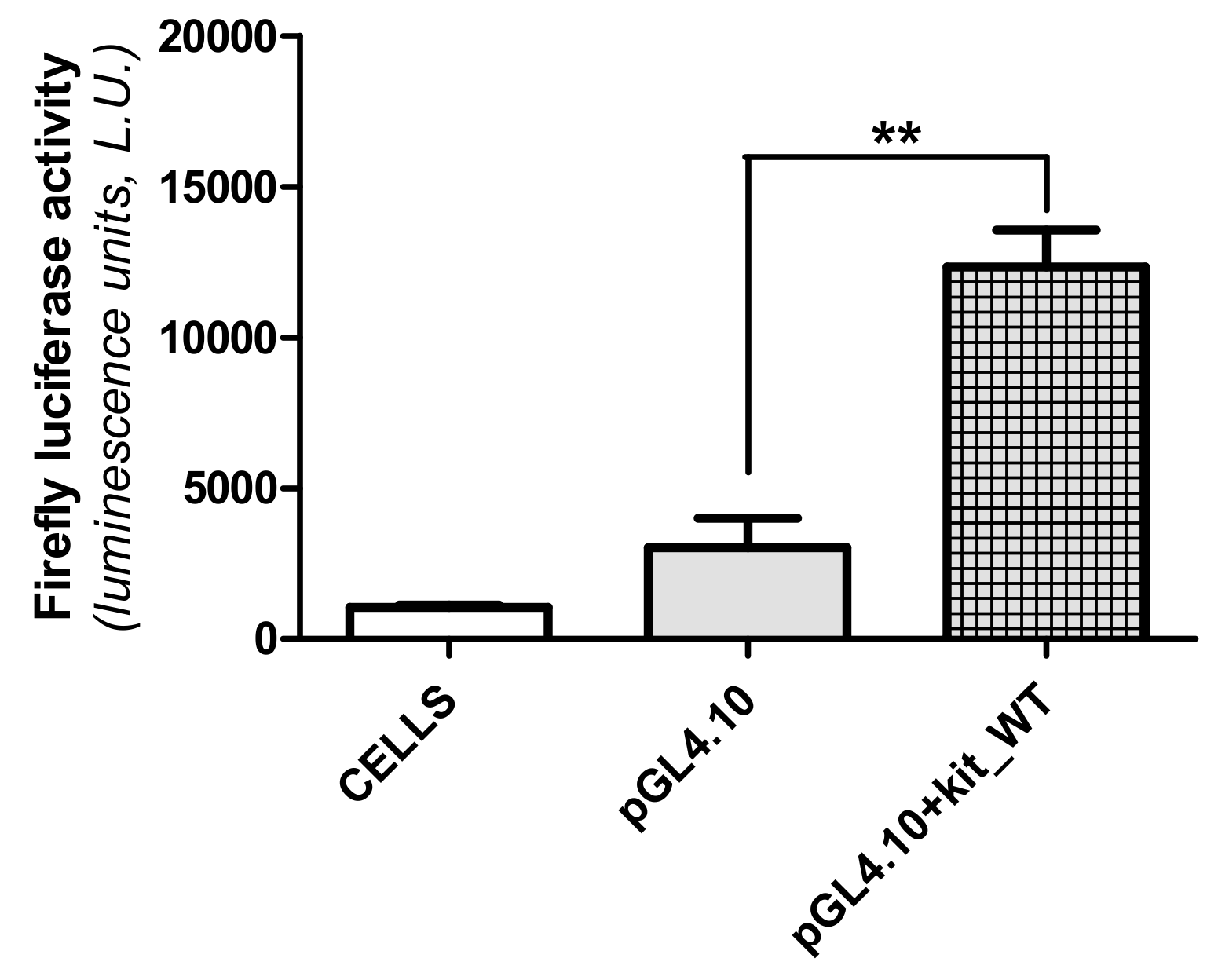 Ijms 22 00329 g004 Ijms 22 00329 g004