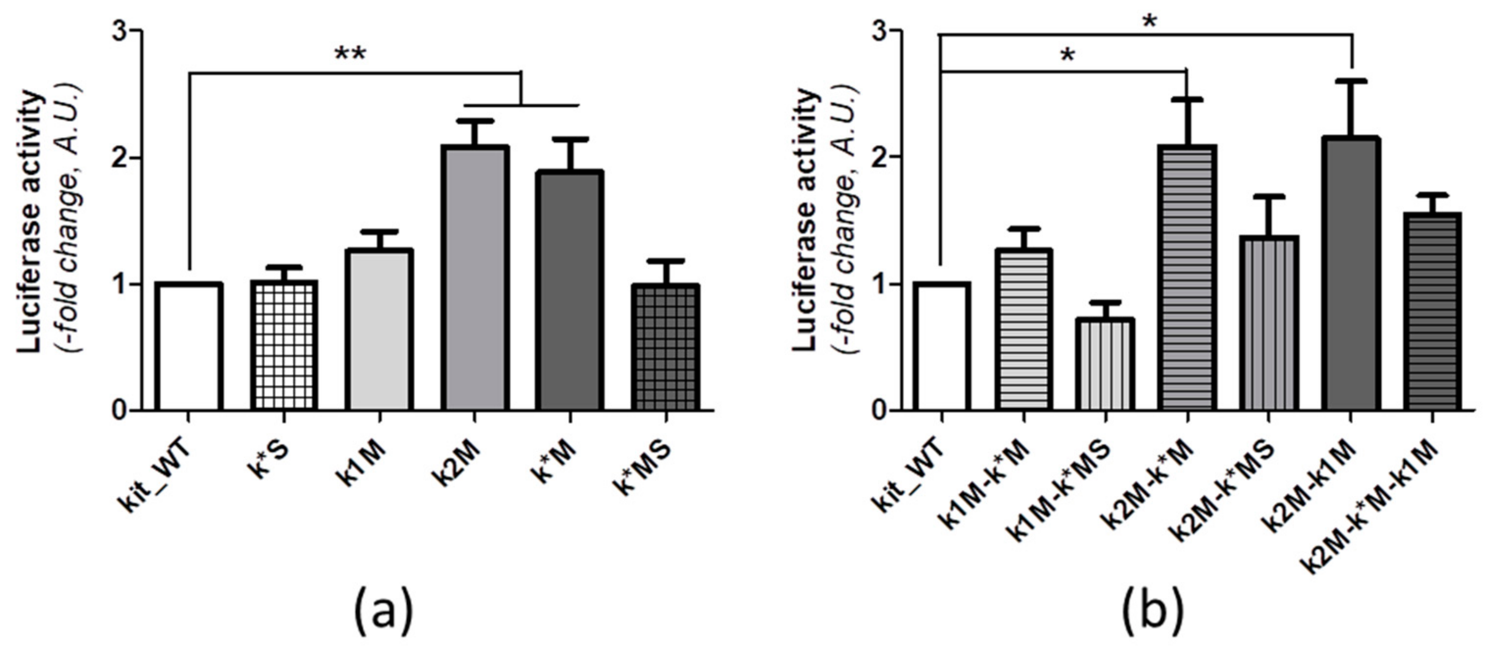 Ijms 22 00329 g005 Ijms 22 00329 g005