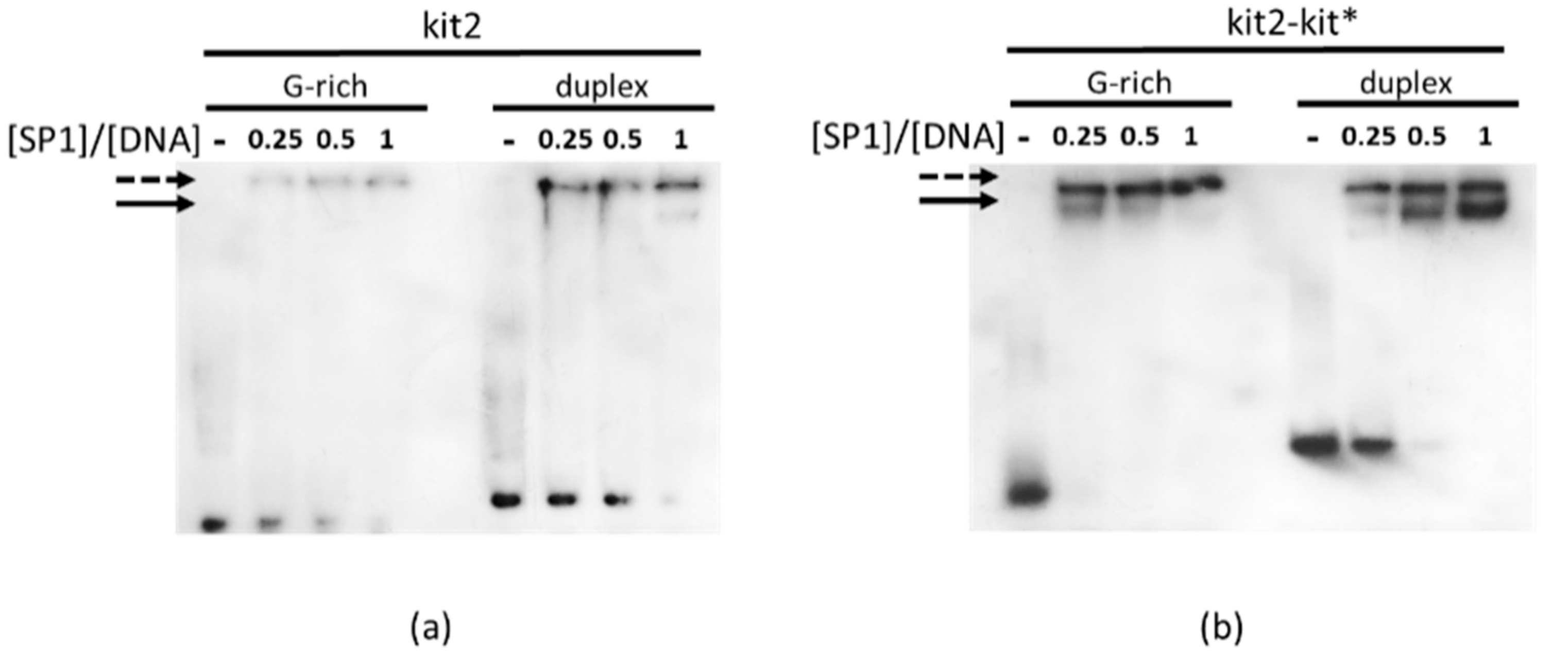 Ijms 22 00329 g006 Ijms 22 00329 g006