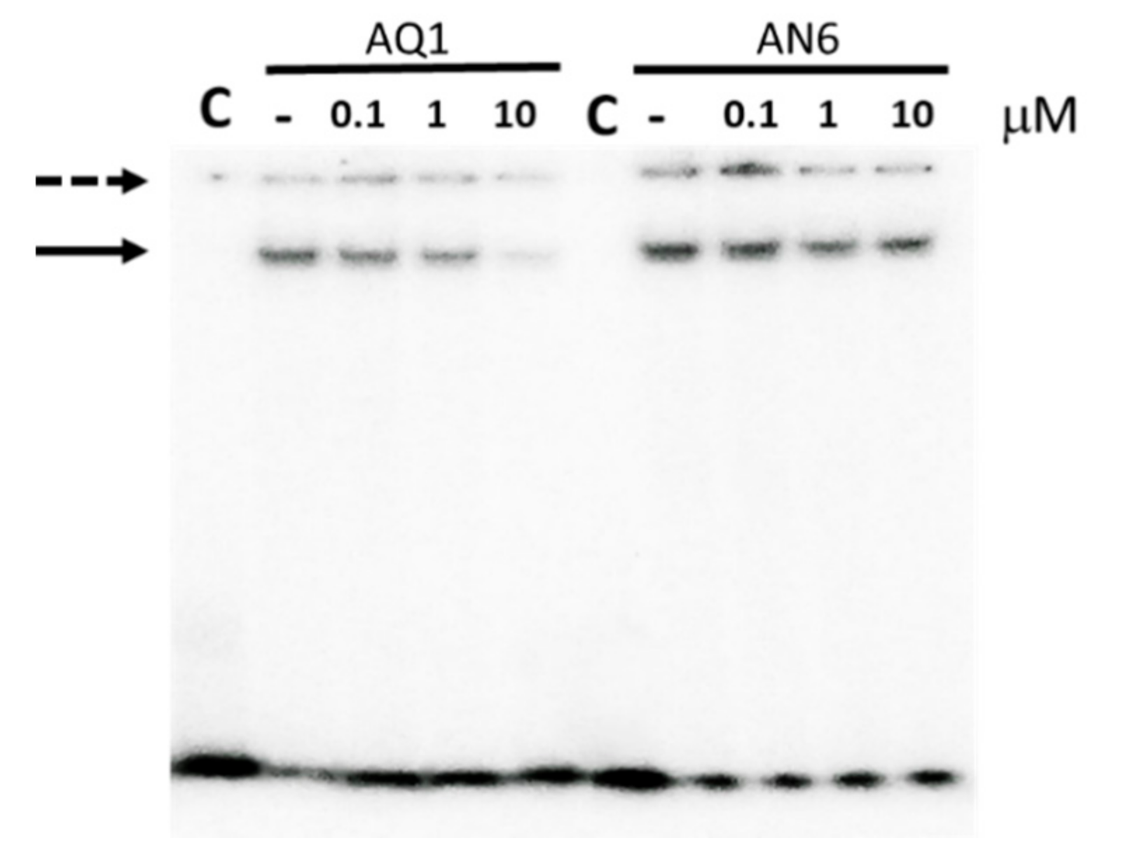 Ijms 22 00329 g007 Ijms 22 00329 g007