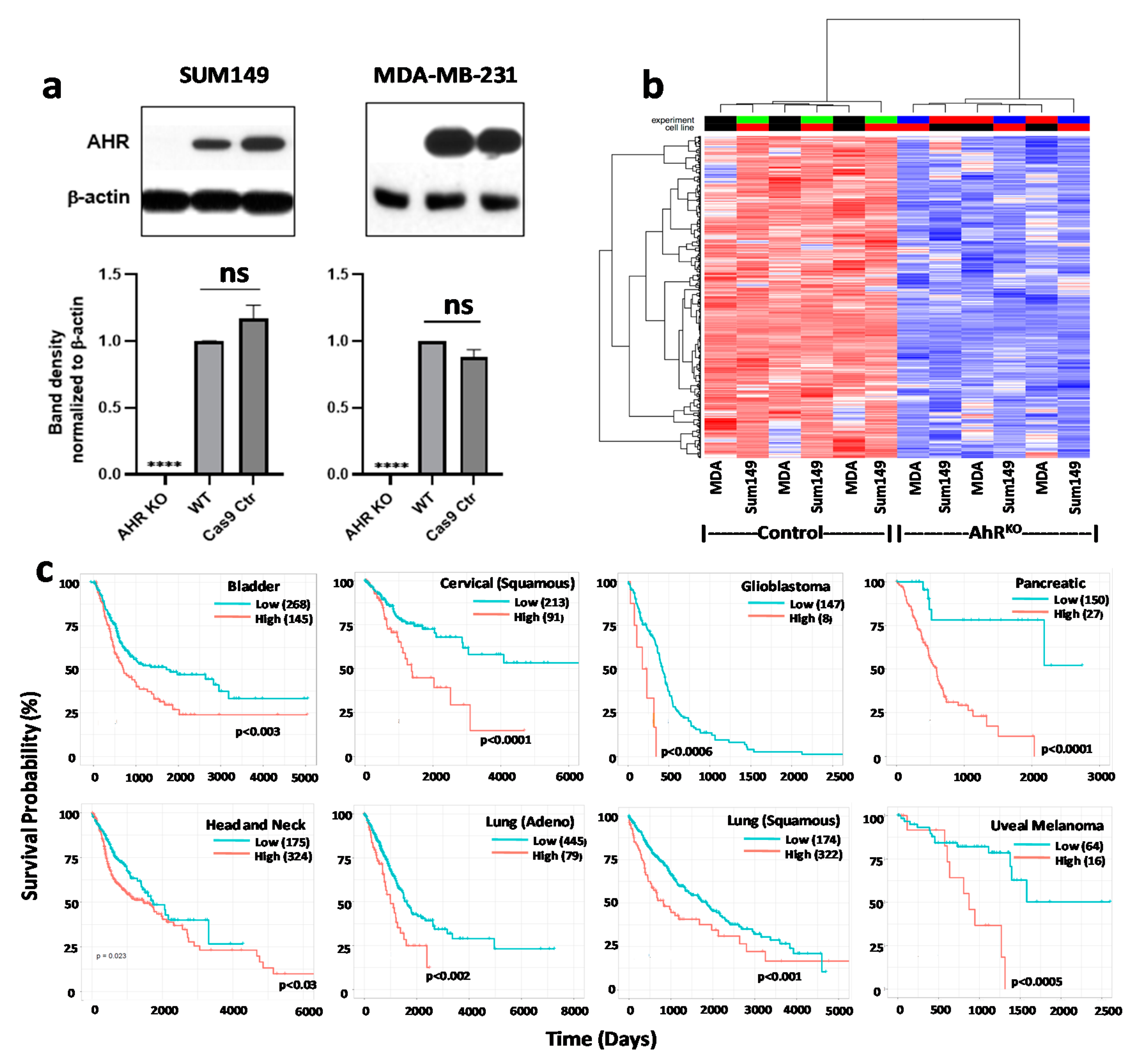 Ijms 22 00387 g003 Ijms 22 00387 g003