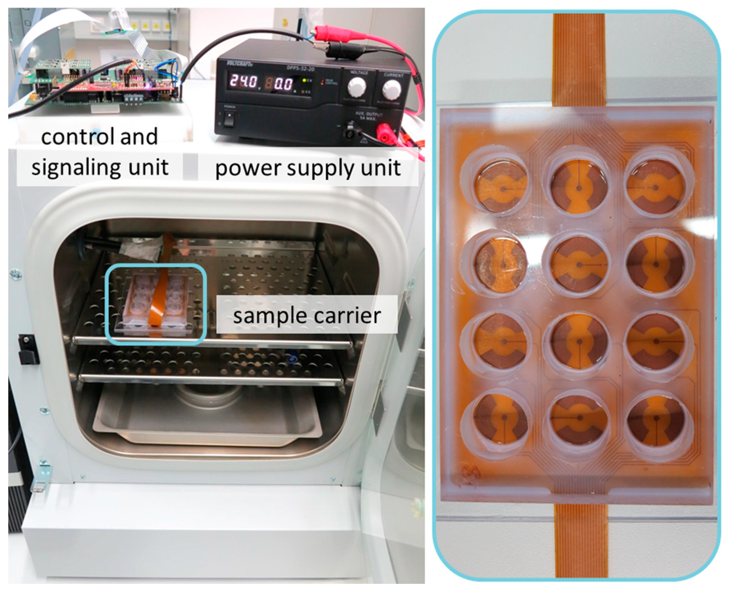 Different Types of Electrical Stimulation Technology – The Name Game -  Myolyn