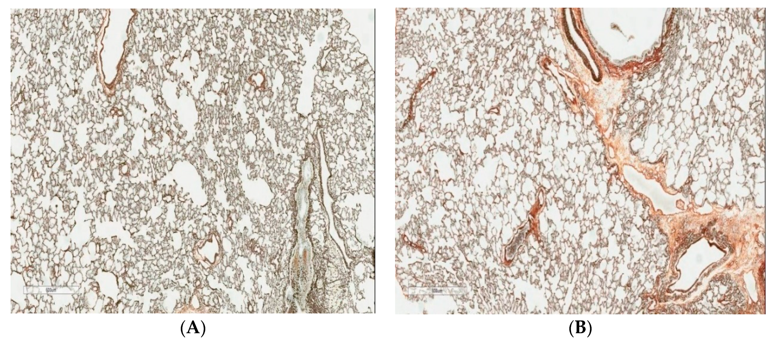 Ijms 22 00416 g001 Ijms 22 00416 g001