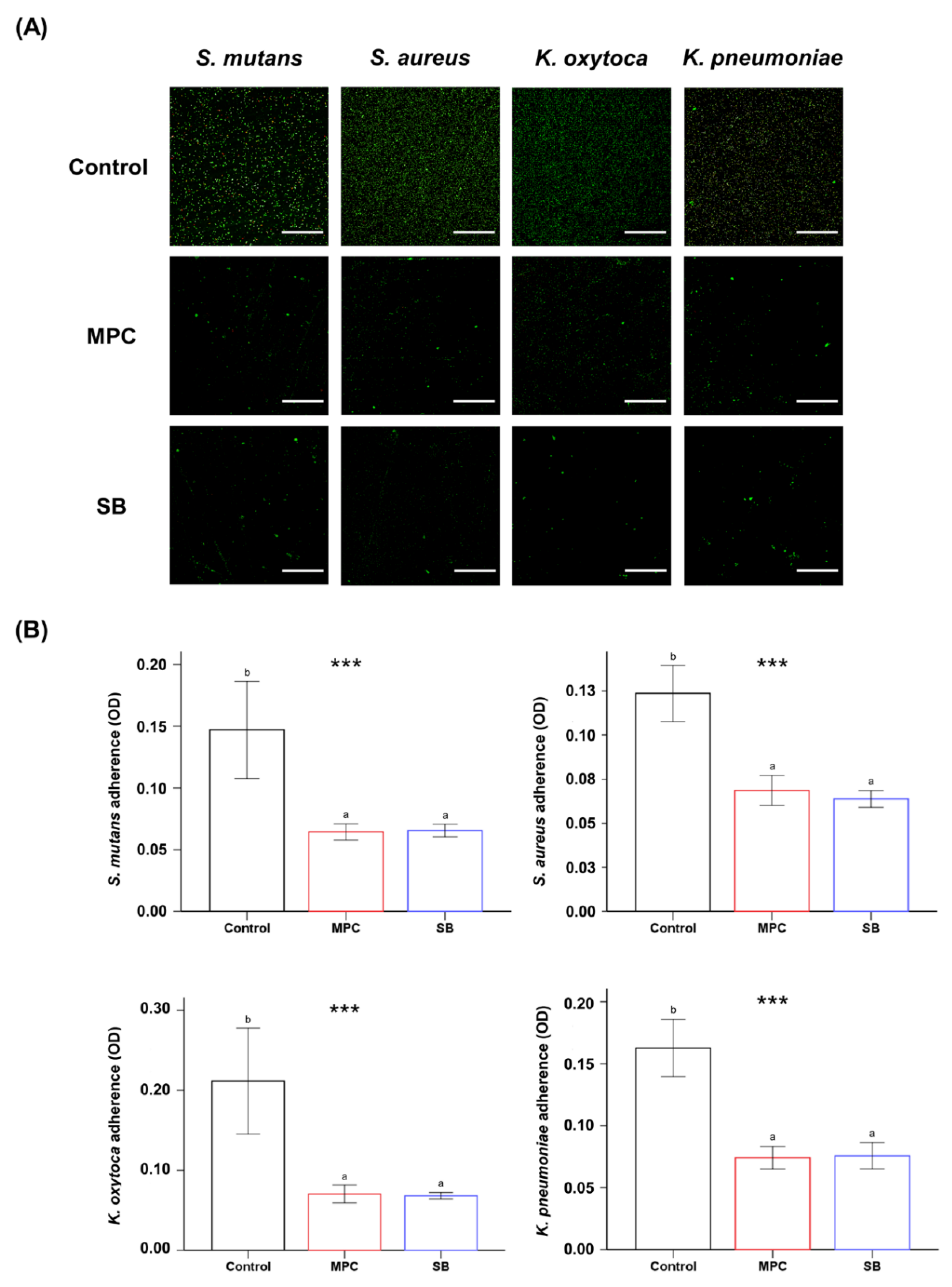 Ijms 22 00417 g003 Ijms 22 00417 g003