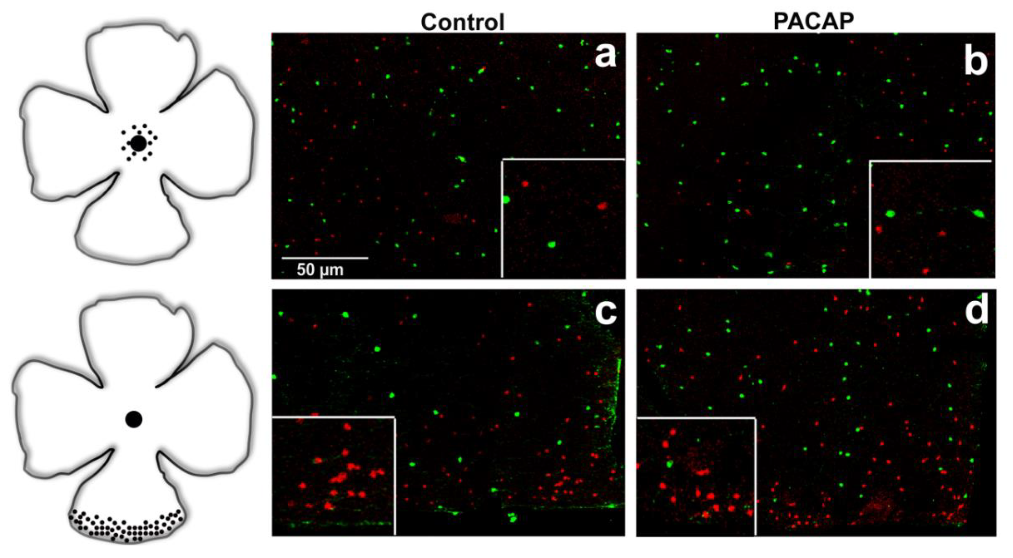 Ijms 22 00444 g002 Ijms 22 00444 g002