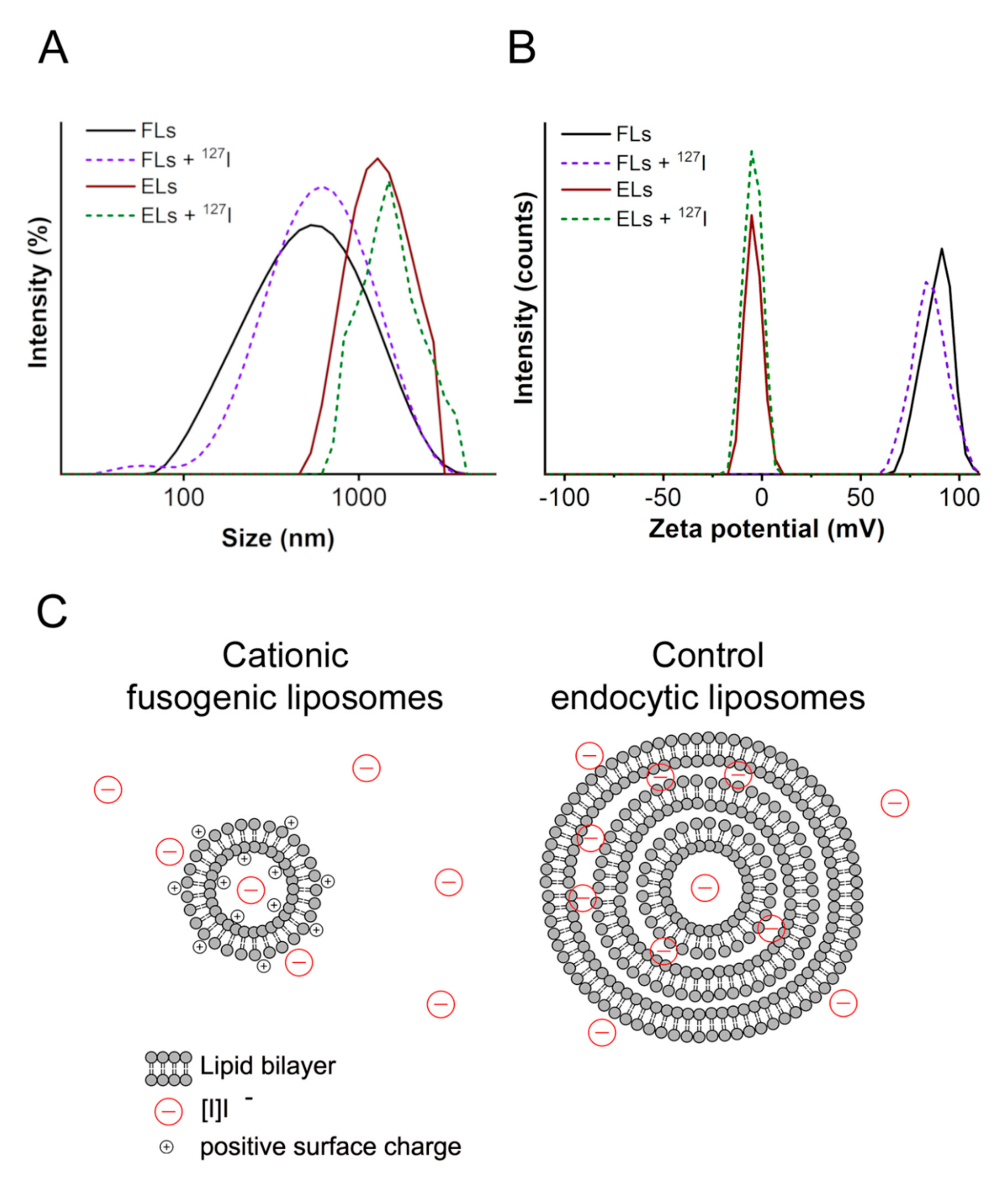 Ijms 22 00457 g002 Ijms 22 00457 g002