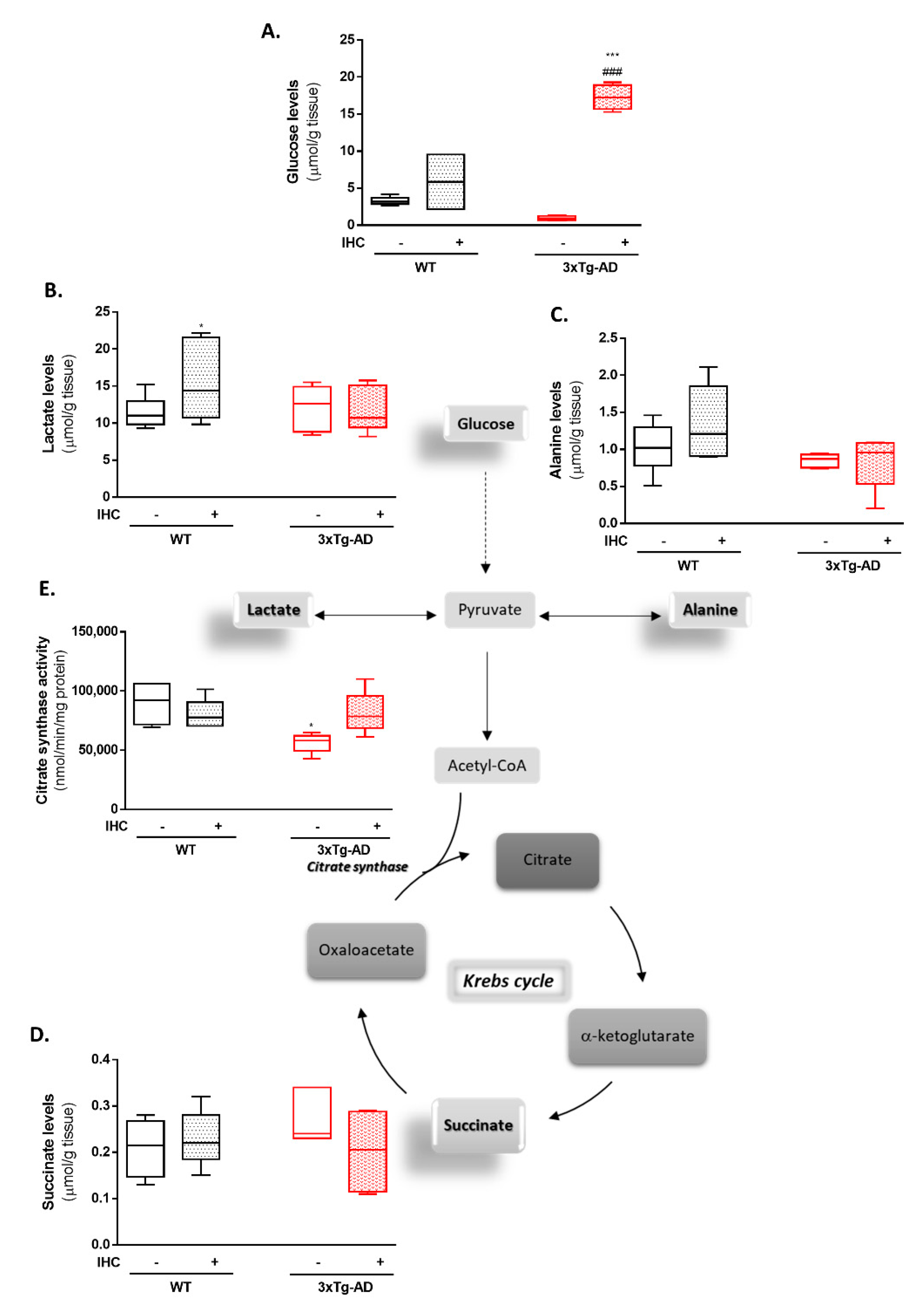 Ijms 22 00461 g004 Ijms 22 00461 g004
