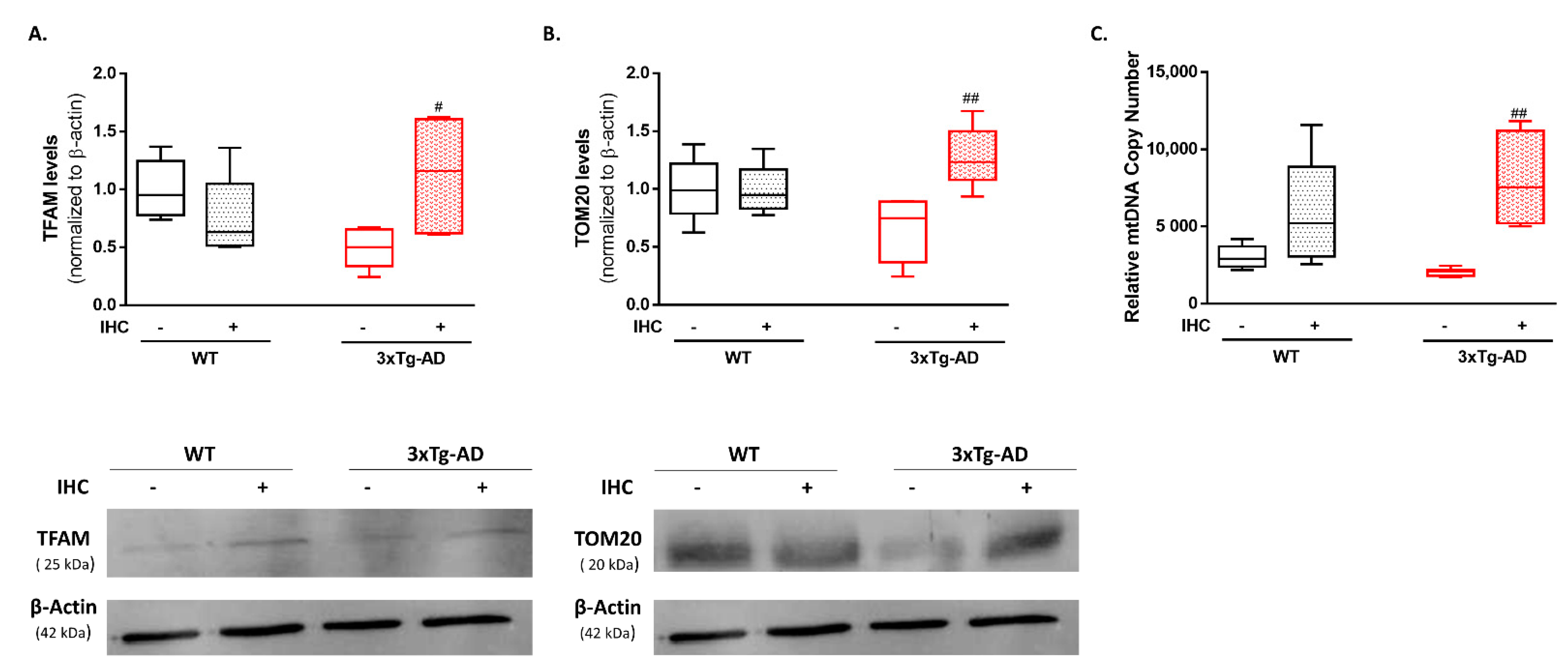Ijms 22 00461 g006 Ijms 22 00461 g006