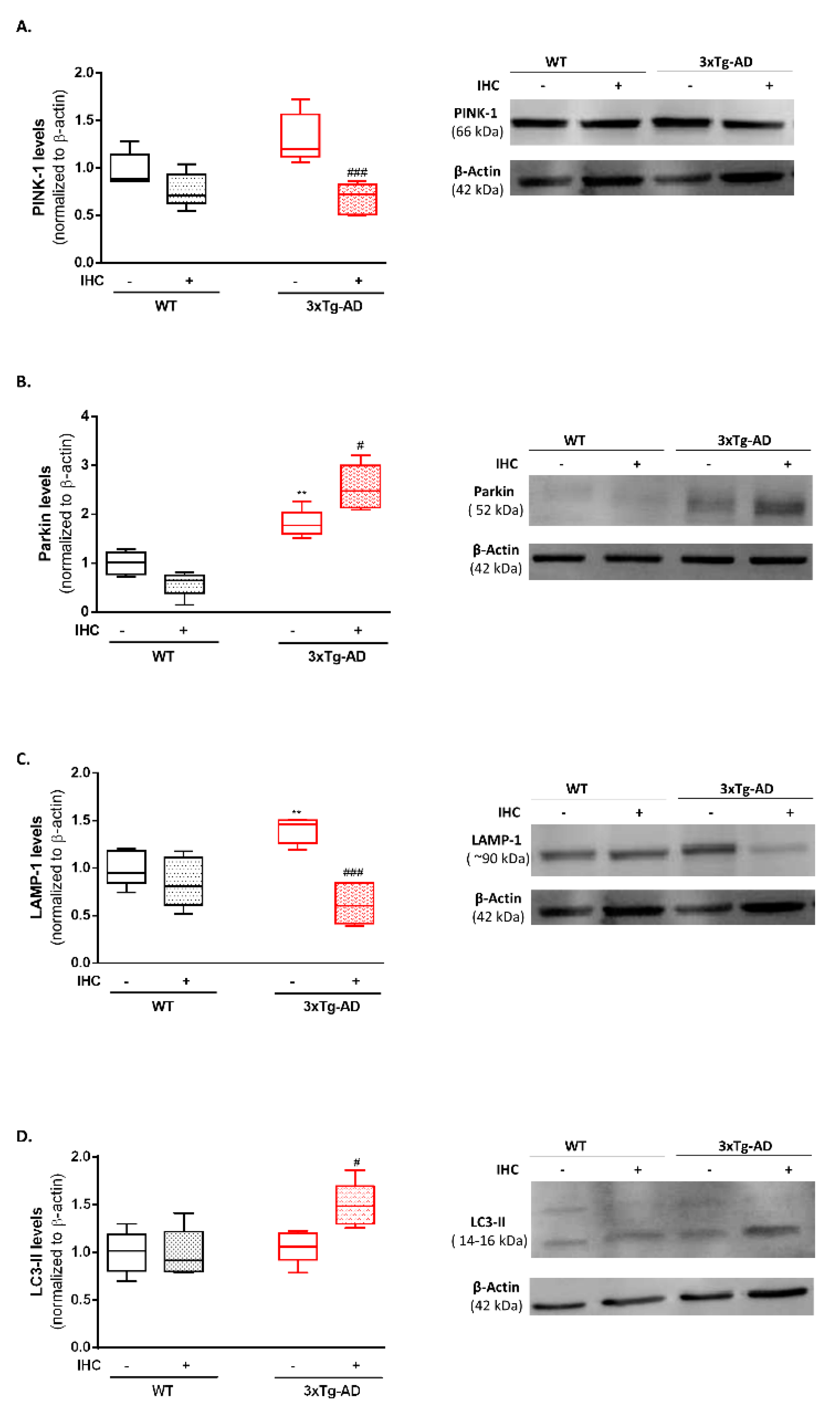 Ijms 22 00461 g007 Ijms 22 00461 g007