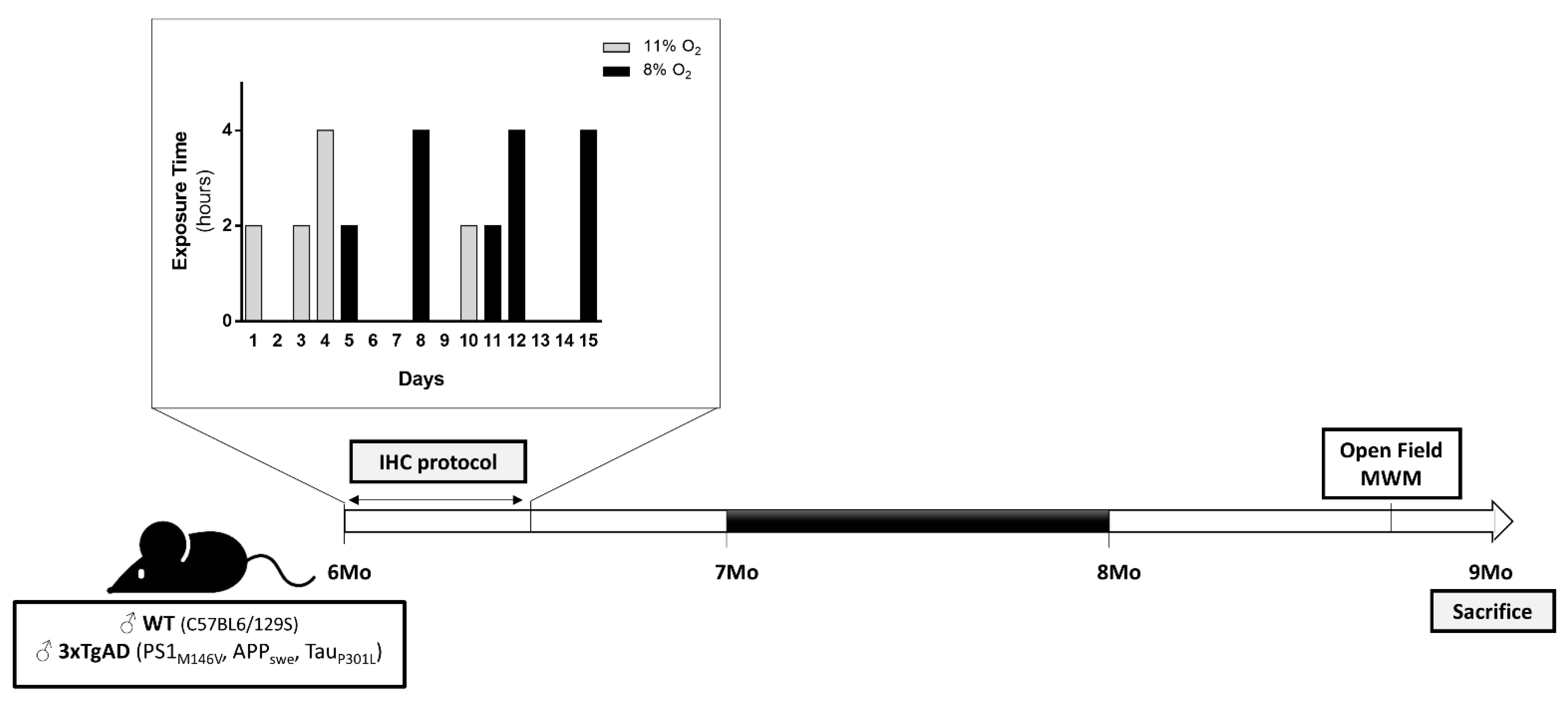 Ijms 22 00461 g010 Ijms 22 00461 g010