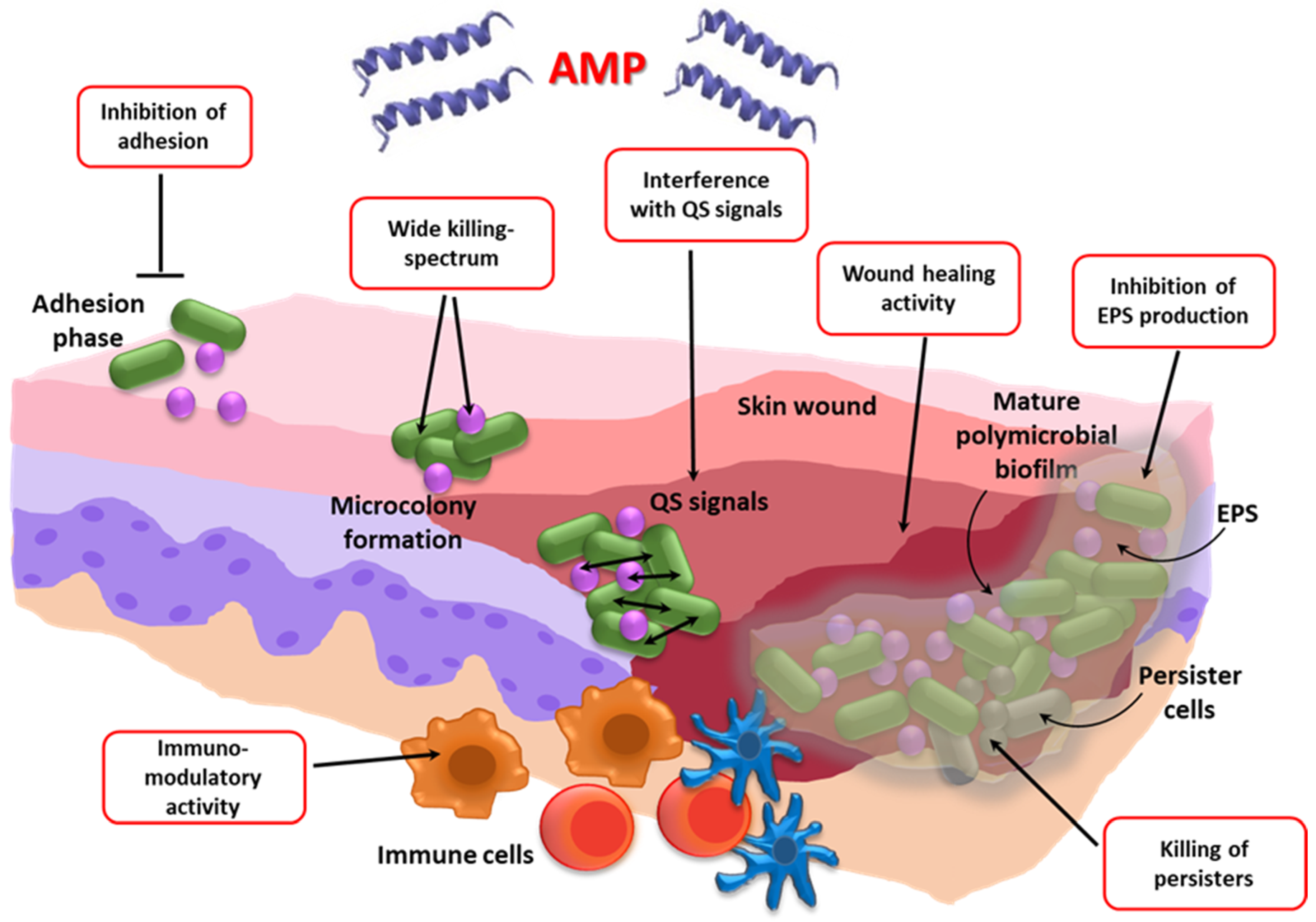 Ijms 22 00482 g002 Ijms 22 00482 g002