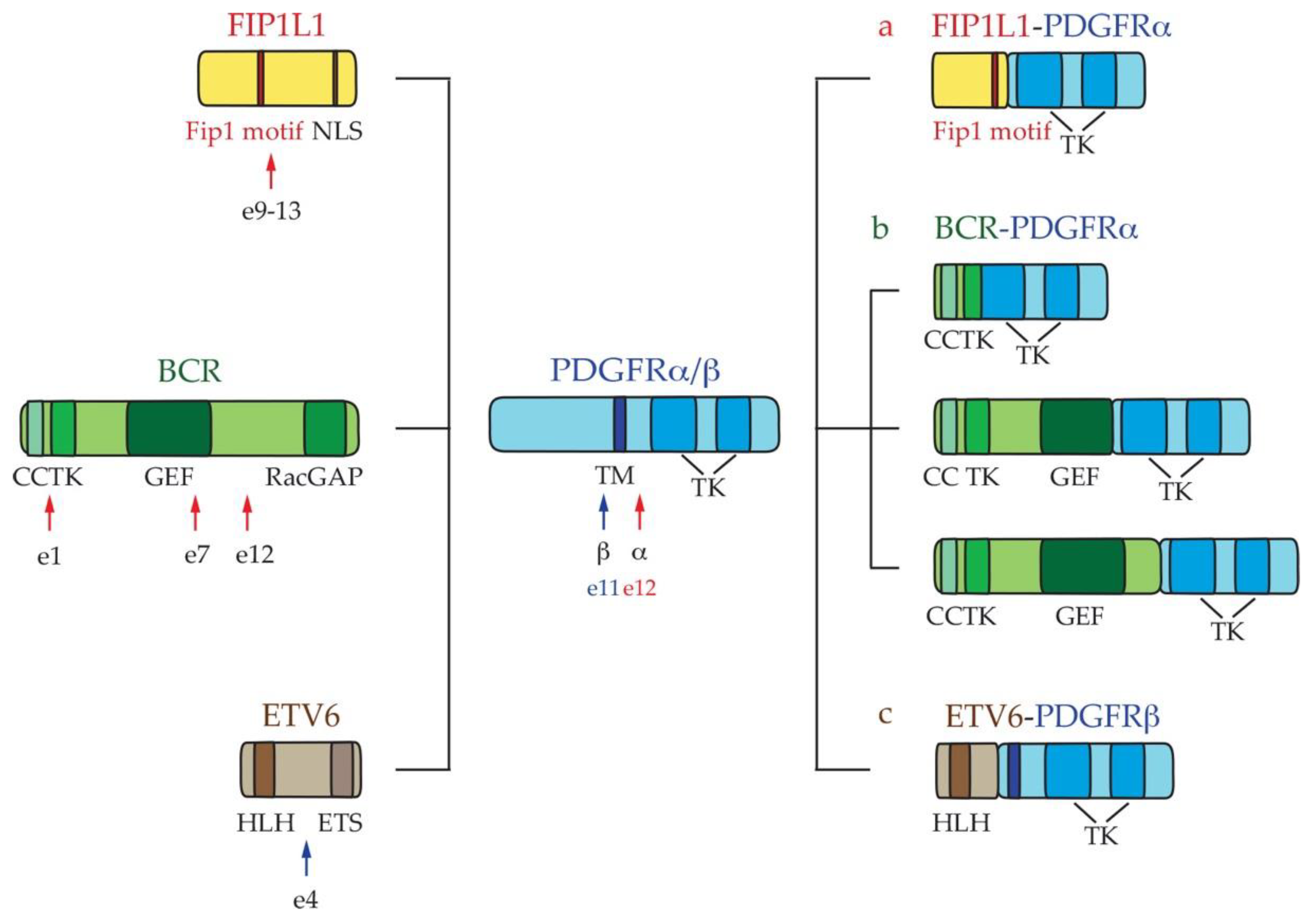 Ijms 22 00486 g002 Ijms 22 00486 g002