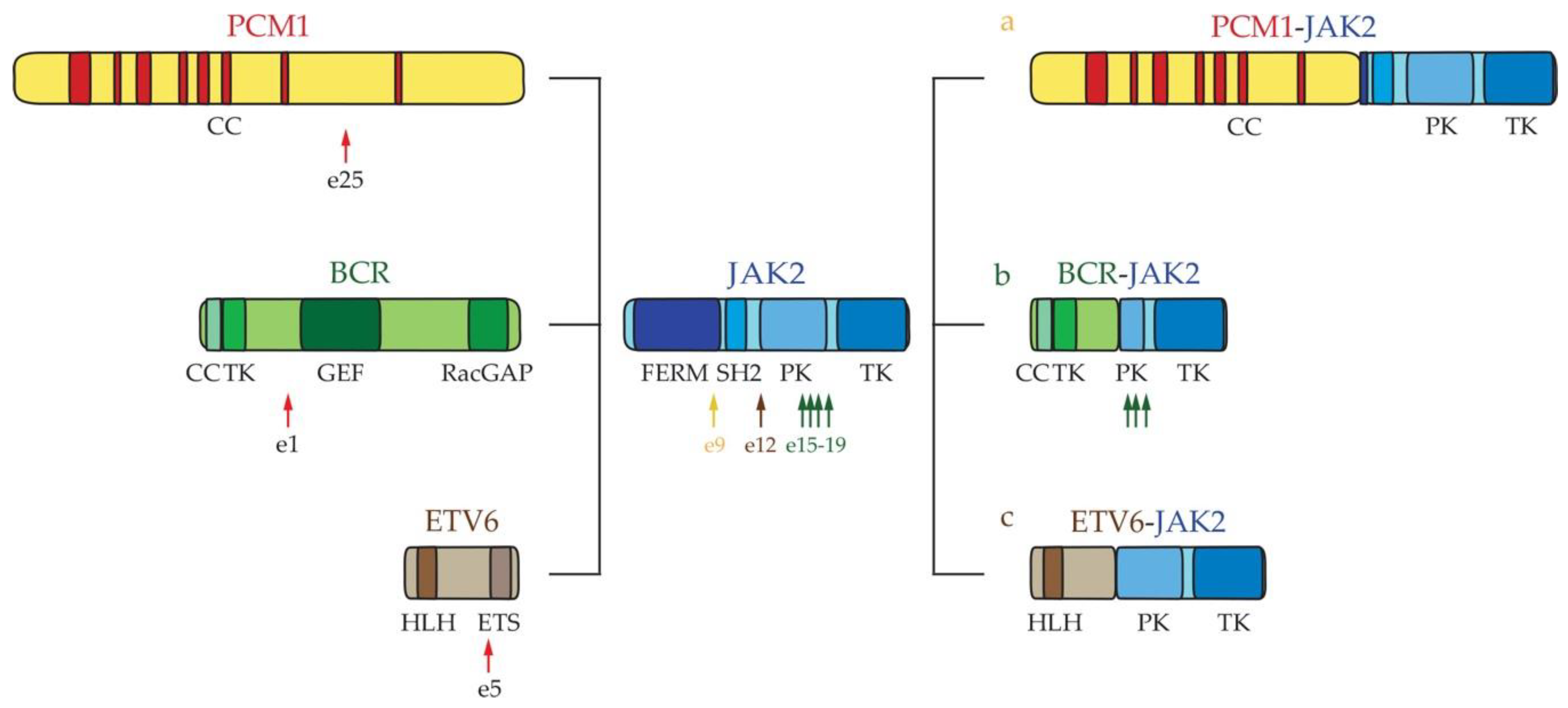 Ijms 22 00486 g004 Ijms 22 00486 g004