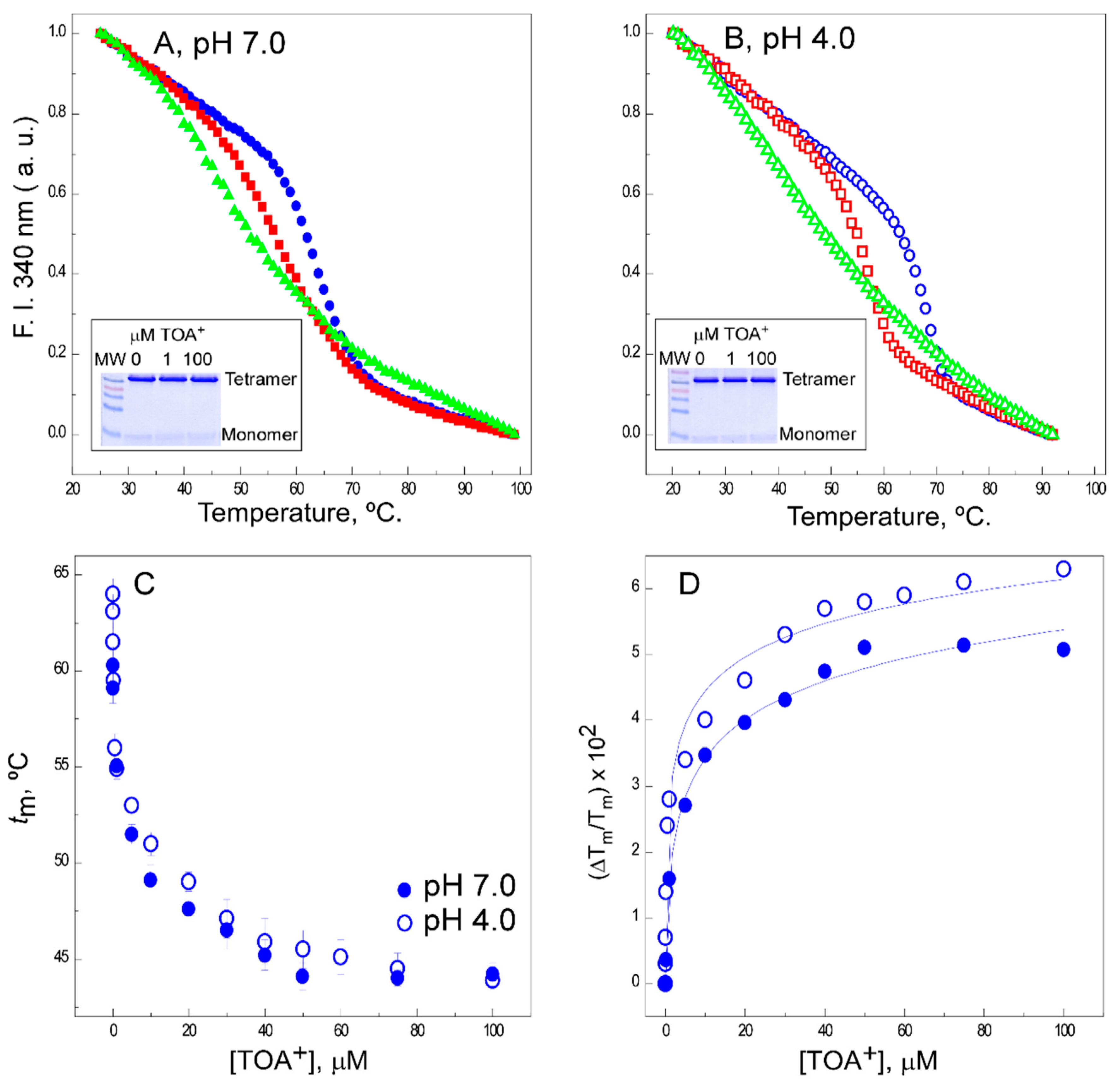 Ijms 22 00490 g001 Ijms 22 00490 g001