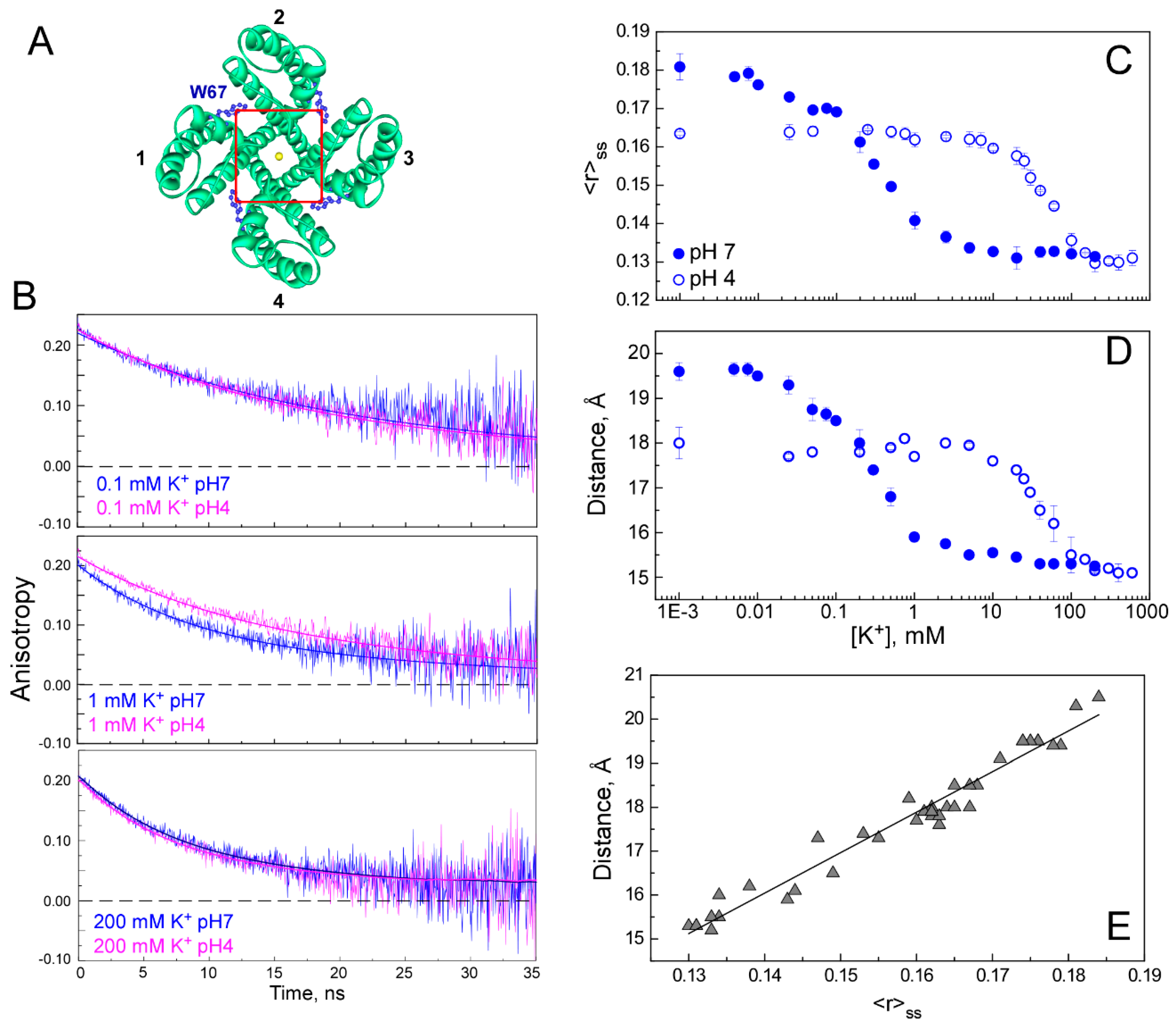 Ijms 22 00490 g004 Ijms 22 00490 g004