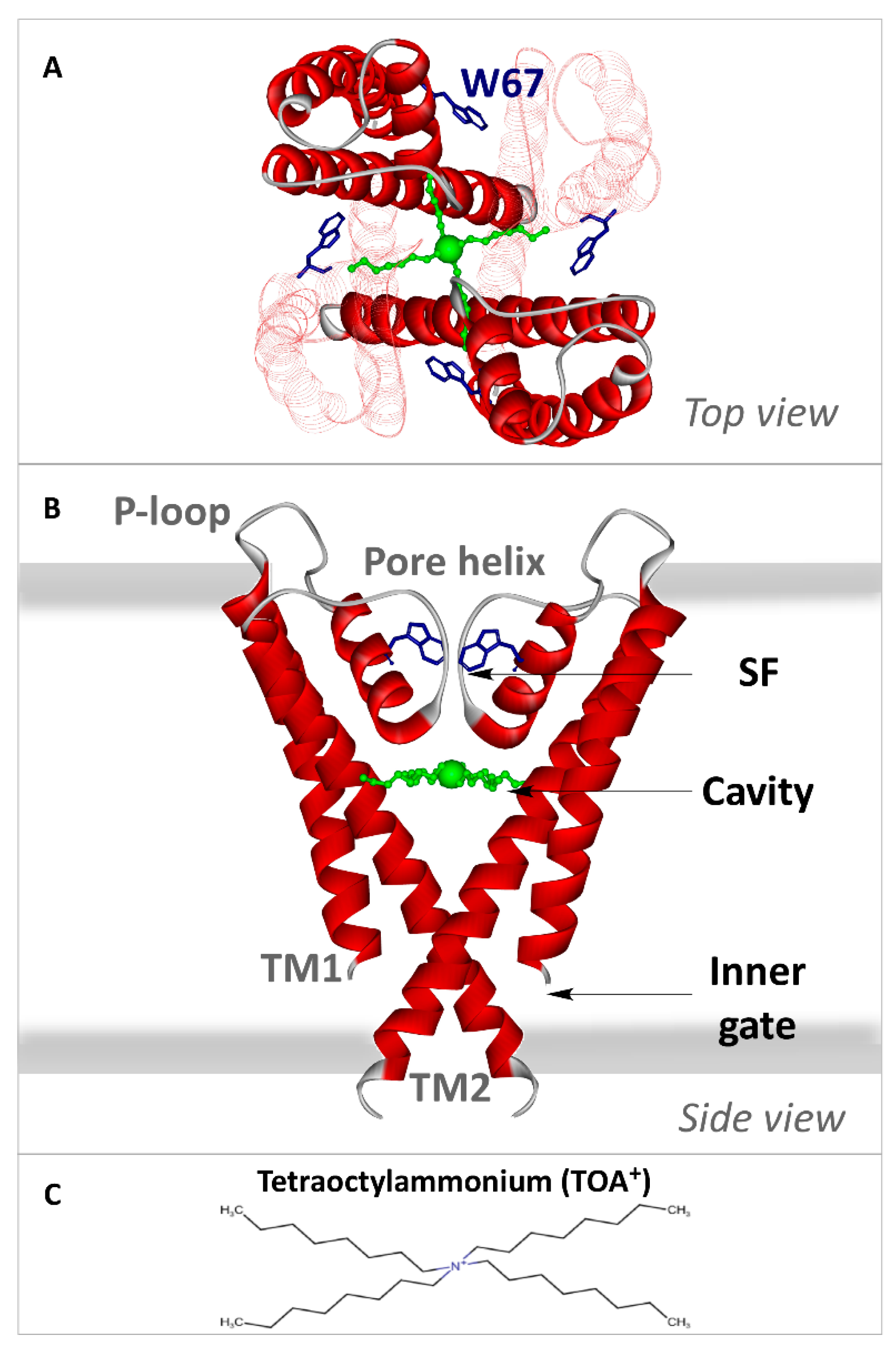 Ijms 22 00490 sch001 Ijms 22 00490 sch001
