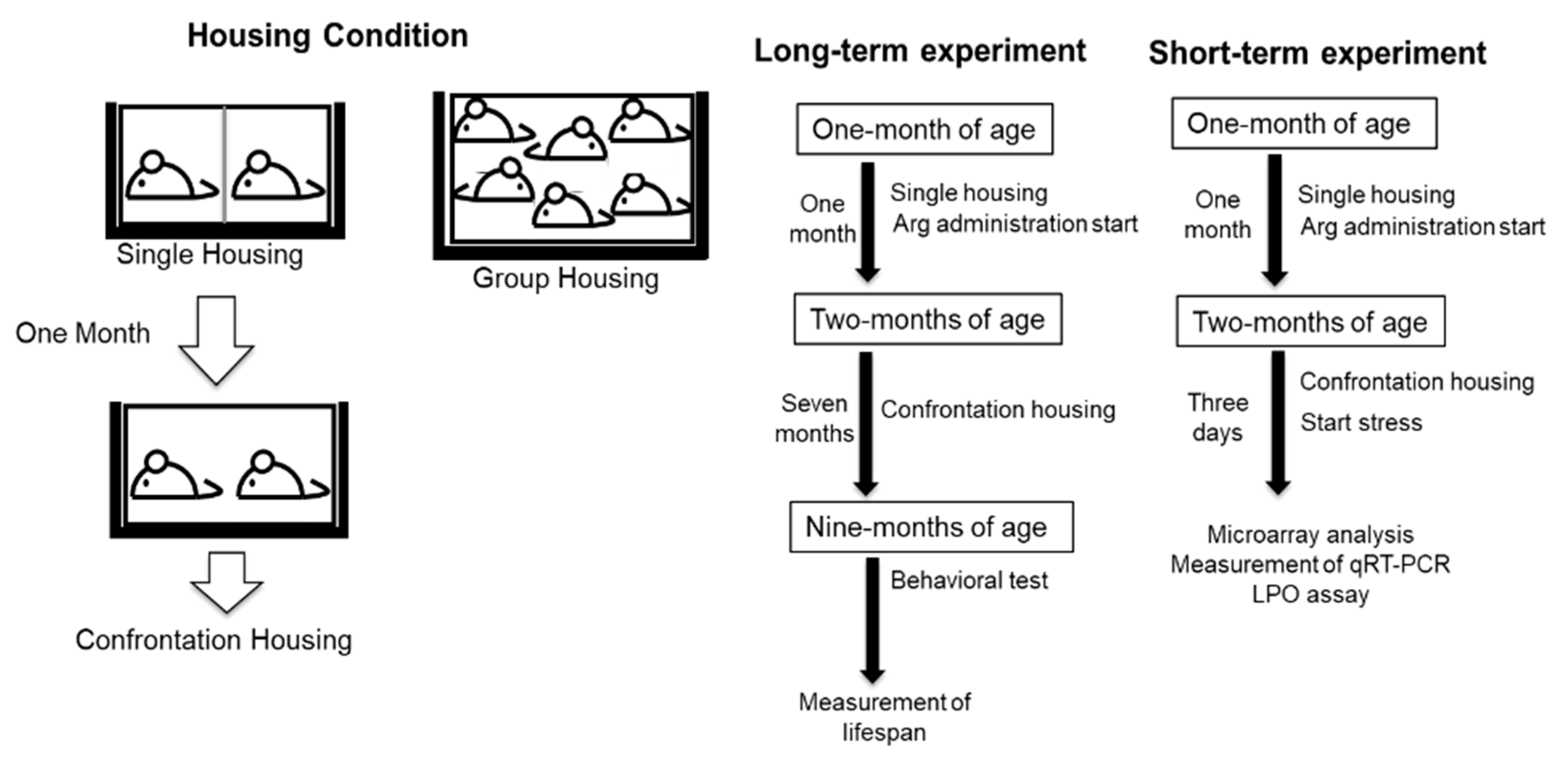 Ijms 22 00508 g006 Ijms 22 00508 g006